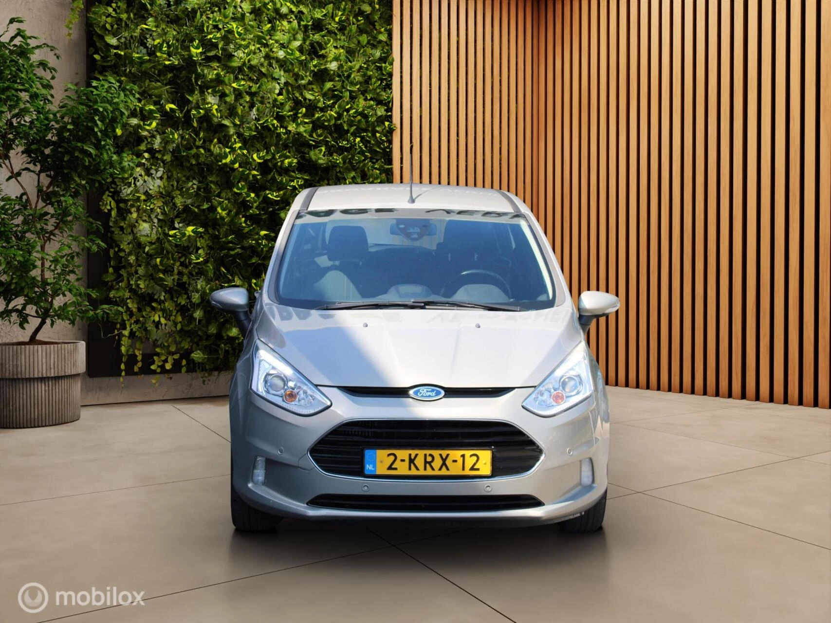 Hoofdafbeelding Ford B-MAX