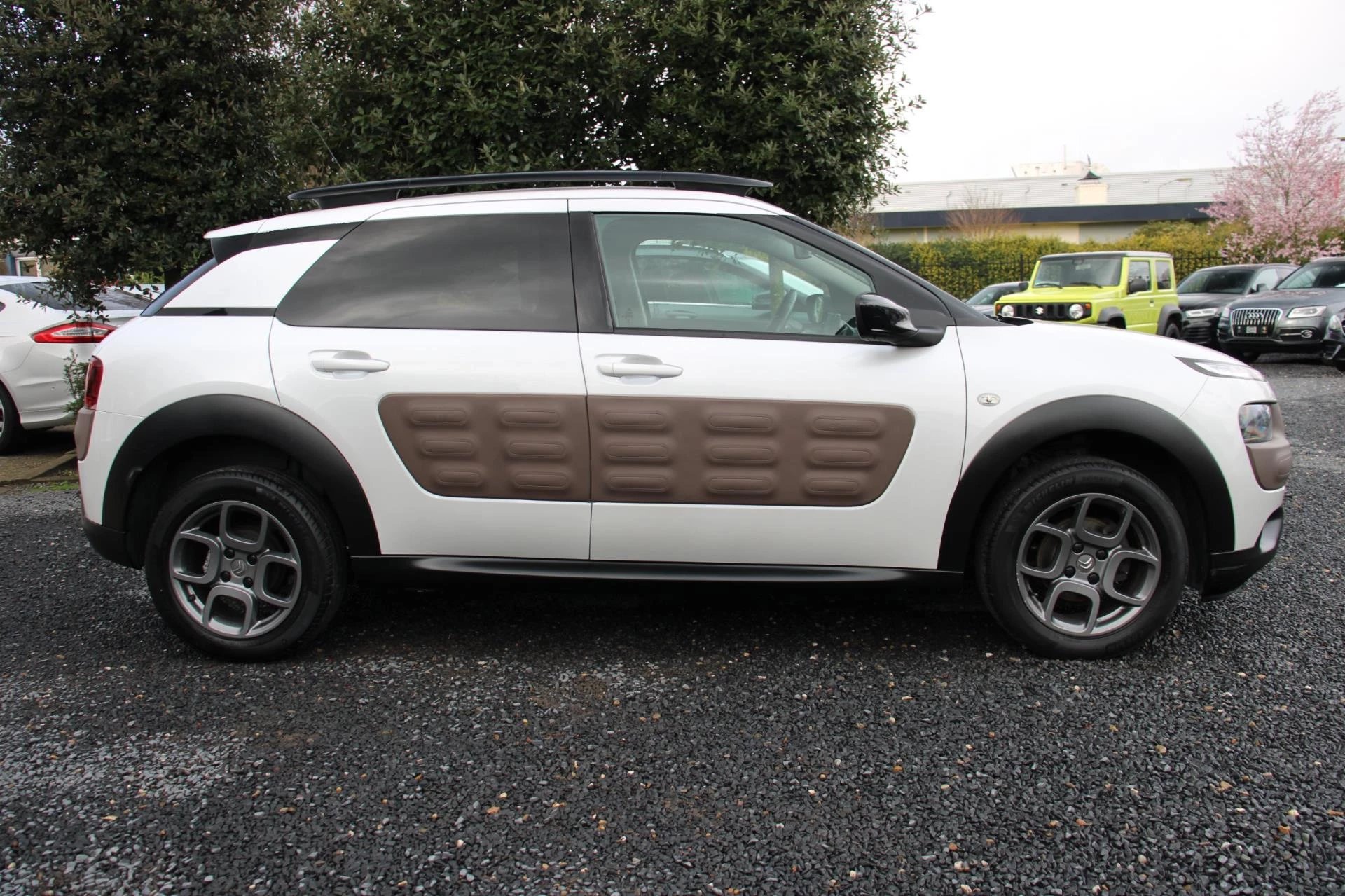 Hoofdafbeelding Citroën C4 Cactus