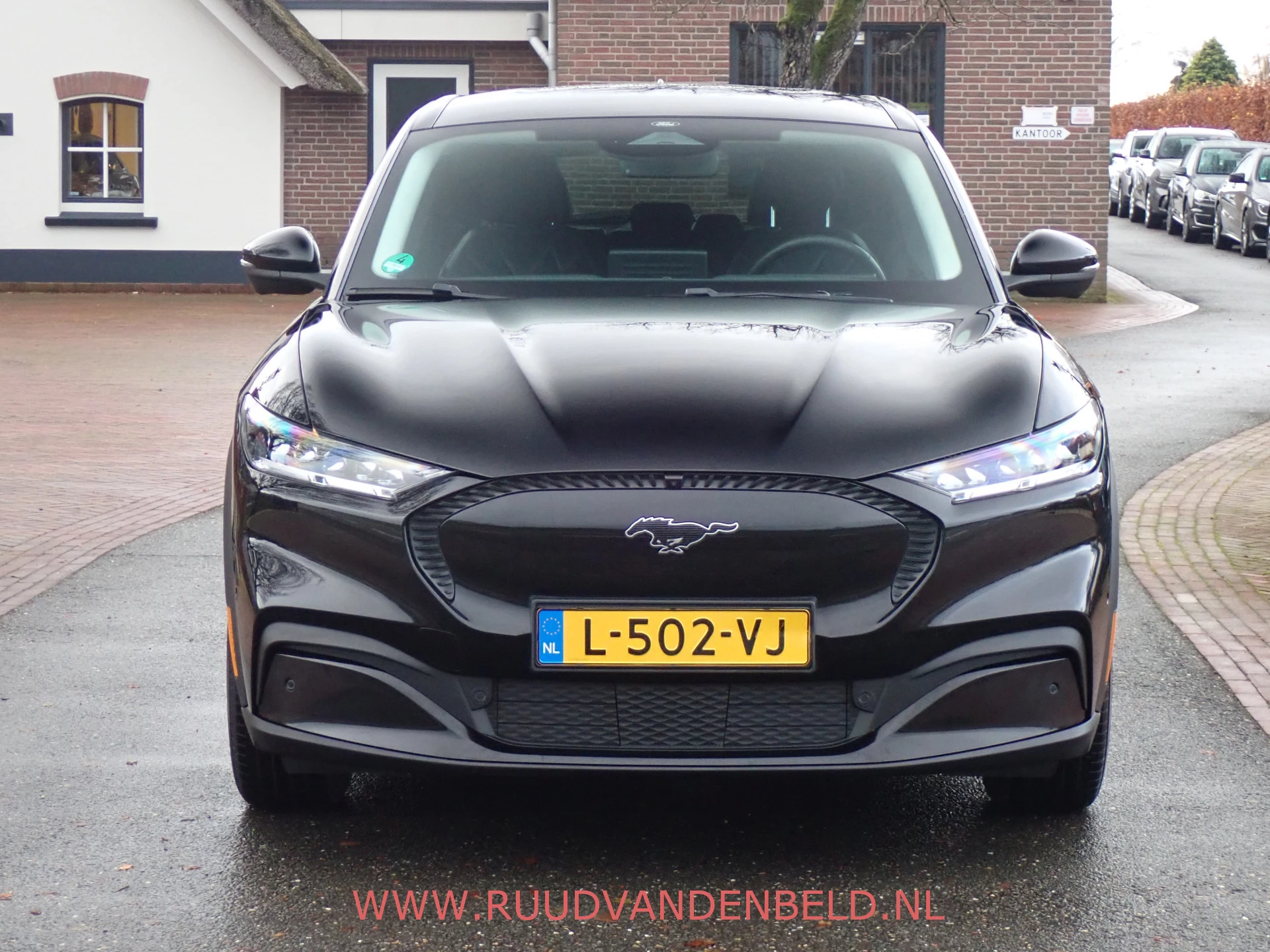 Hoofdafbeelding Ford Mustang Mach-E