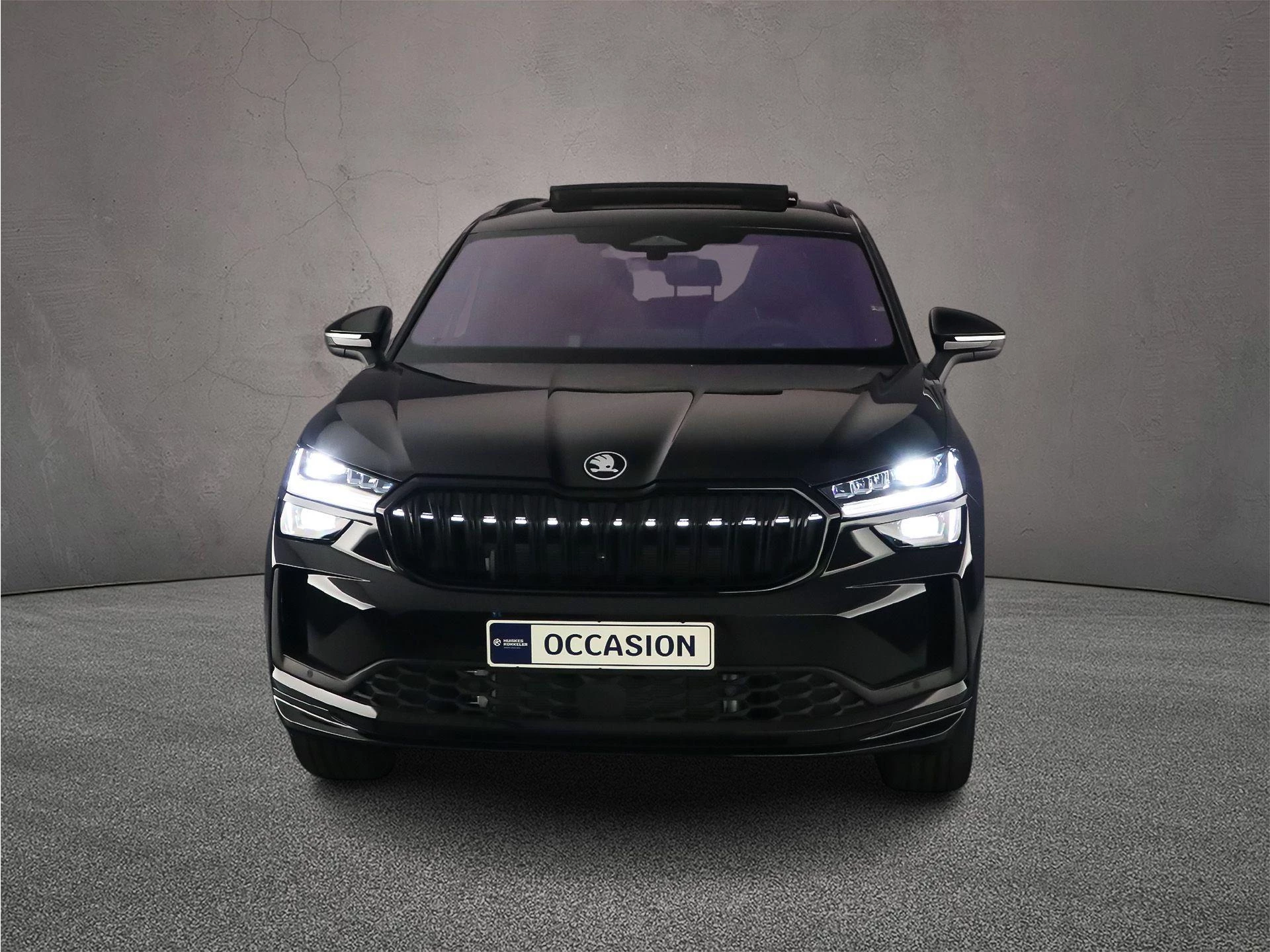 Hoofdafbeelding Škoda Kodiaq