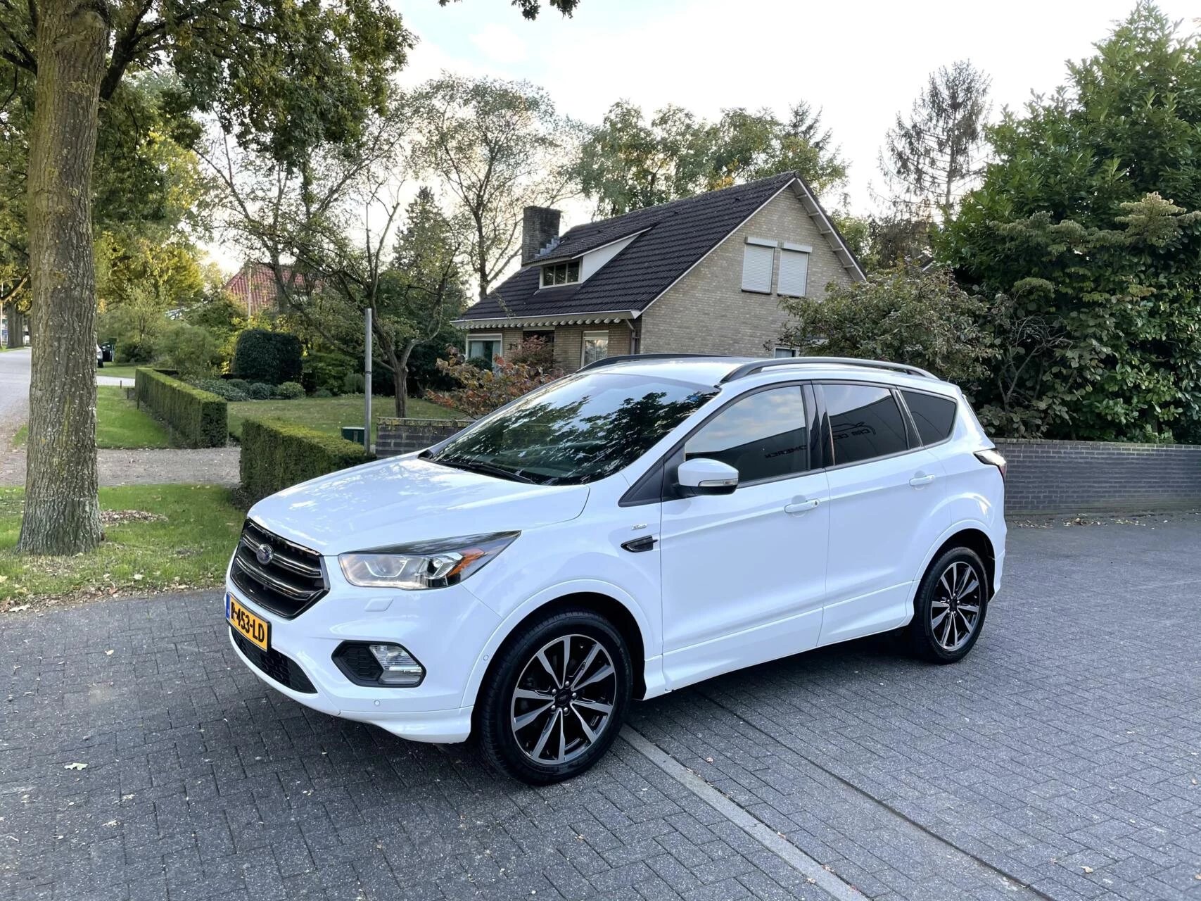 Hoofdafbeelding Ford Kuga