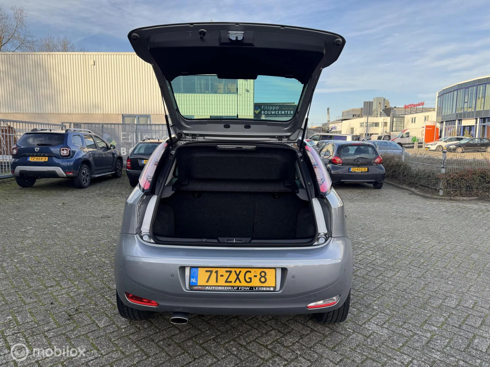 Hoofdafbeelding Fiat Punto