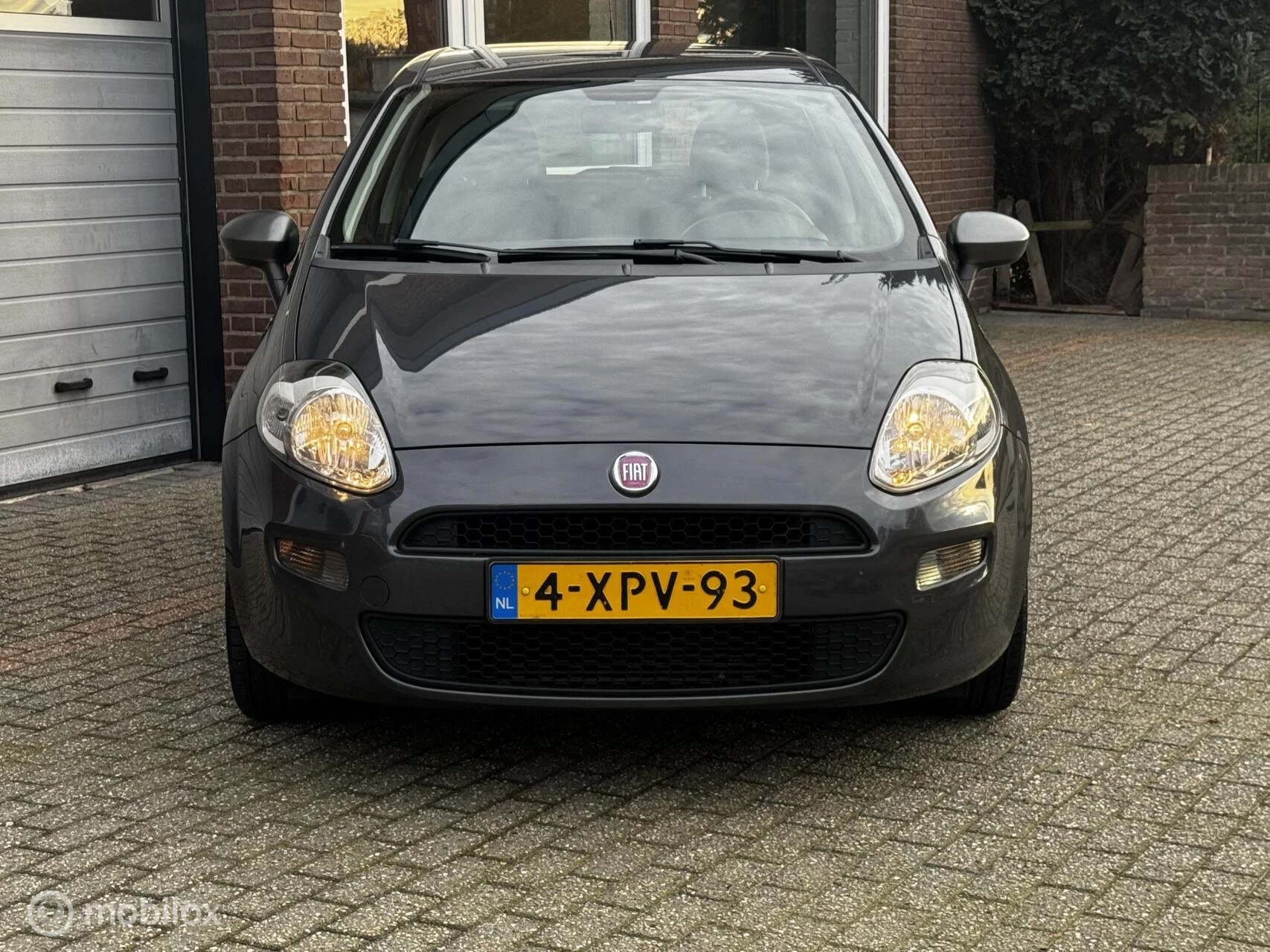 Hoofdafbeelding Fiat Punto