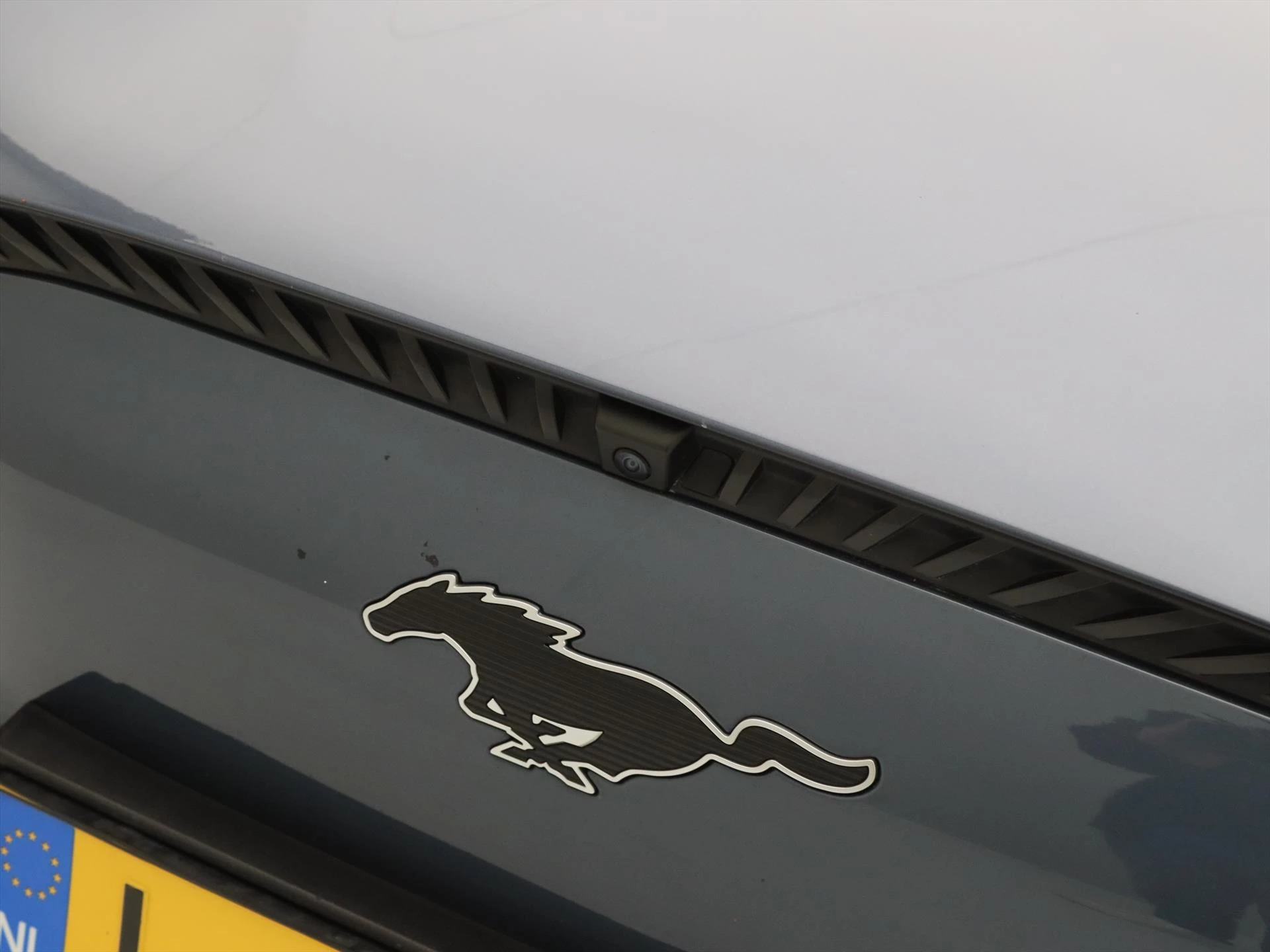 Hoofdafbeelding Ford Mustang Mach-E