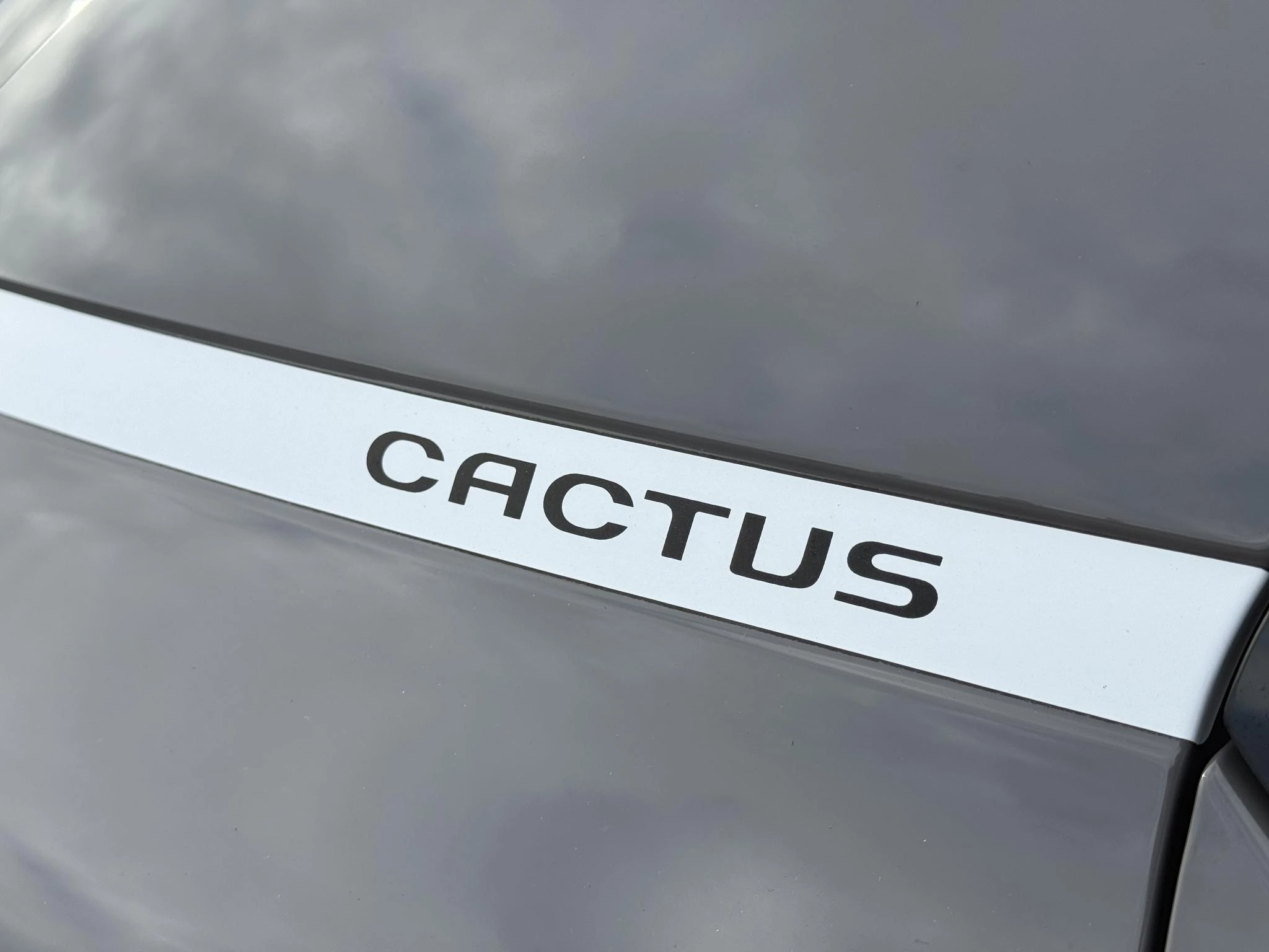 Hoofdafbeelding Citroën C4 Cactus