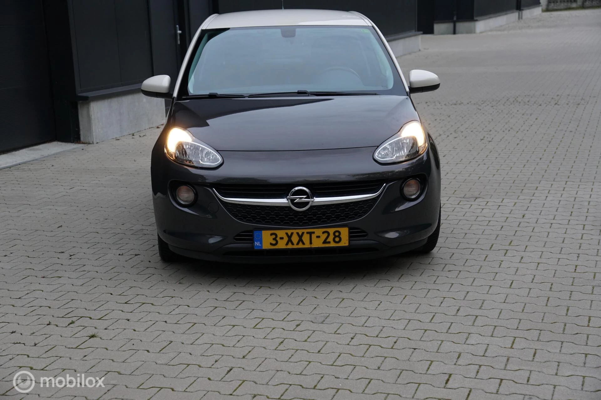 Hoofdafbeelding Opel ADAM