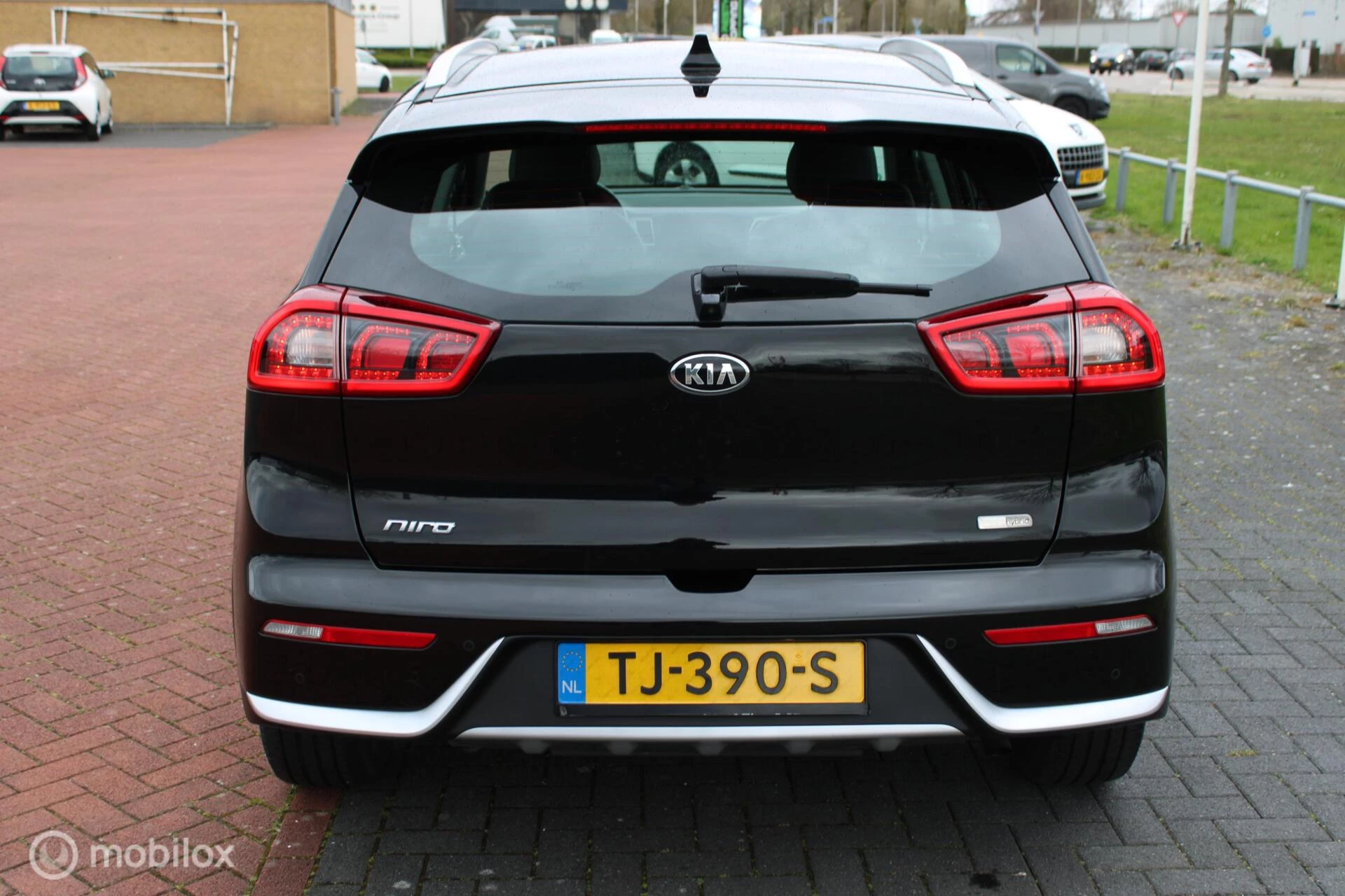 Hoofdafbeelding Kia Niro