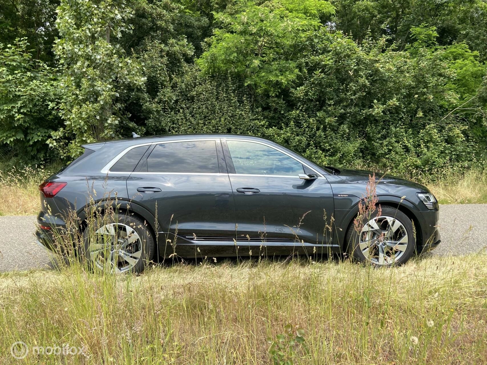 Hoofdafbeelding Audi e-tron