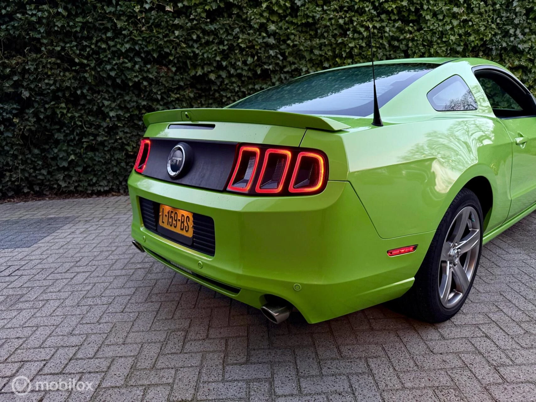 Hoofdafbeelding Ford Mustang