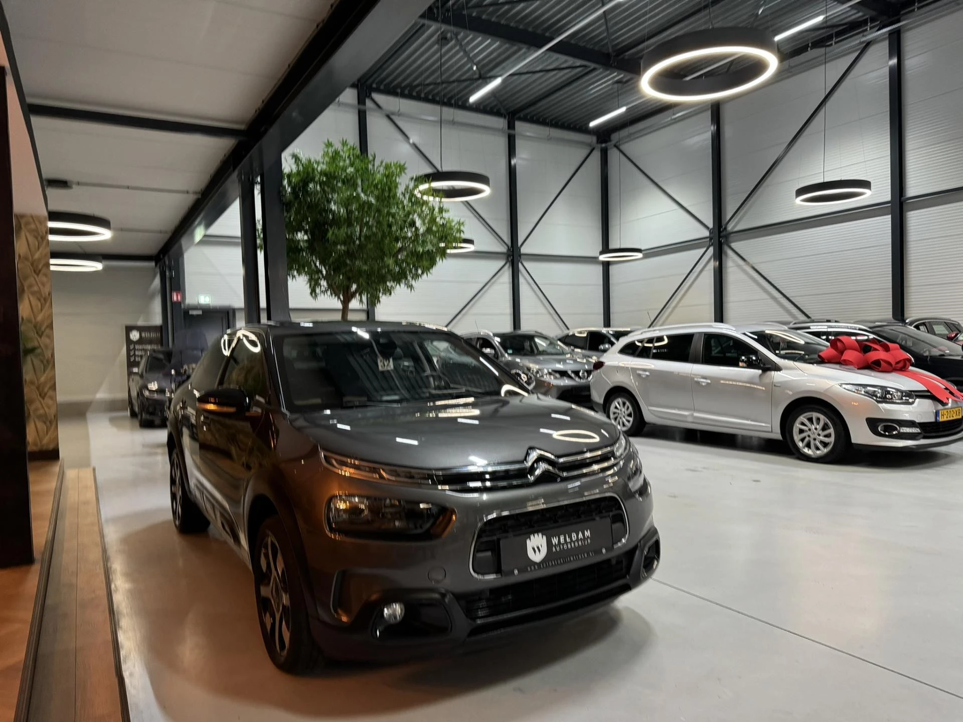 Hoofdafbeelding Citroën C4 Cactus