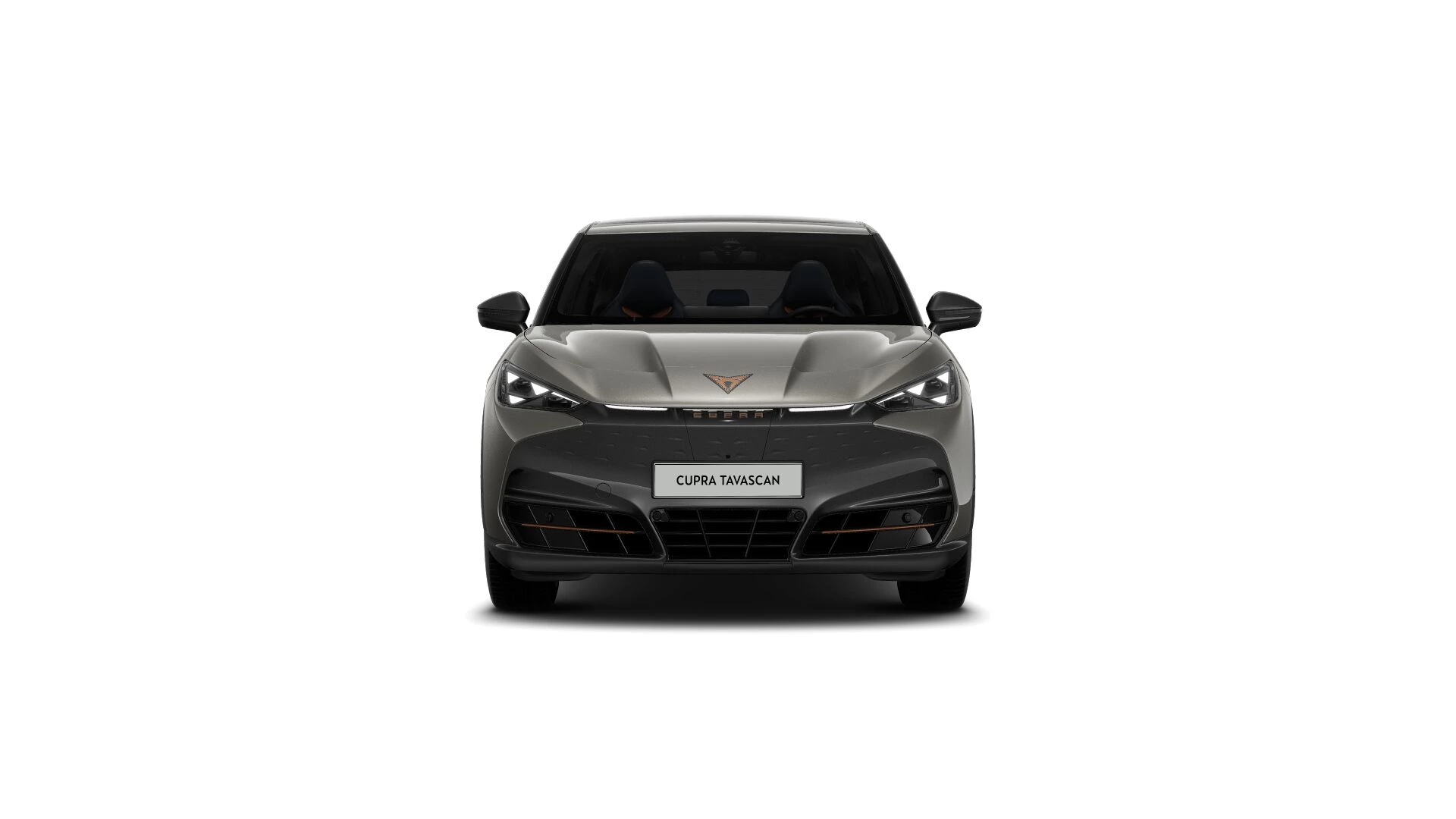 Hoofdafbeelding CUPRA Tavascan