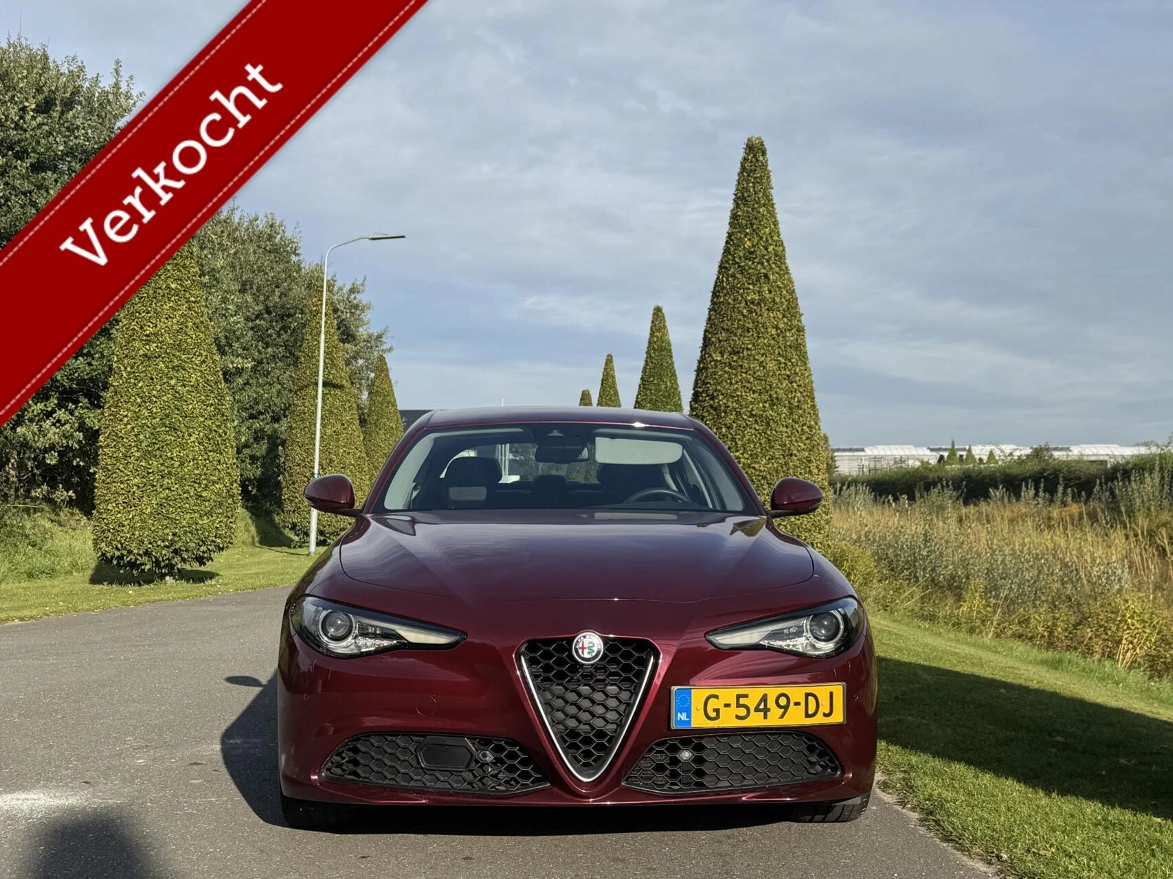 Hoofdafbeelding Alfa Romeo Giulia