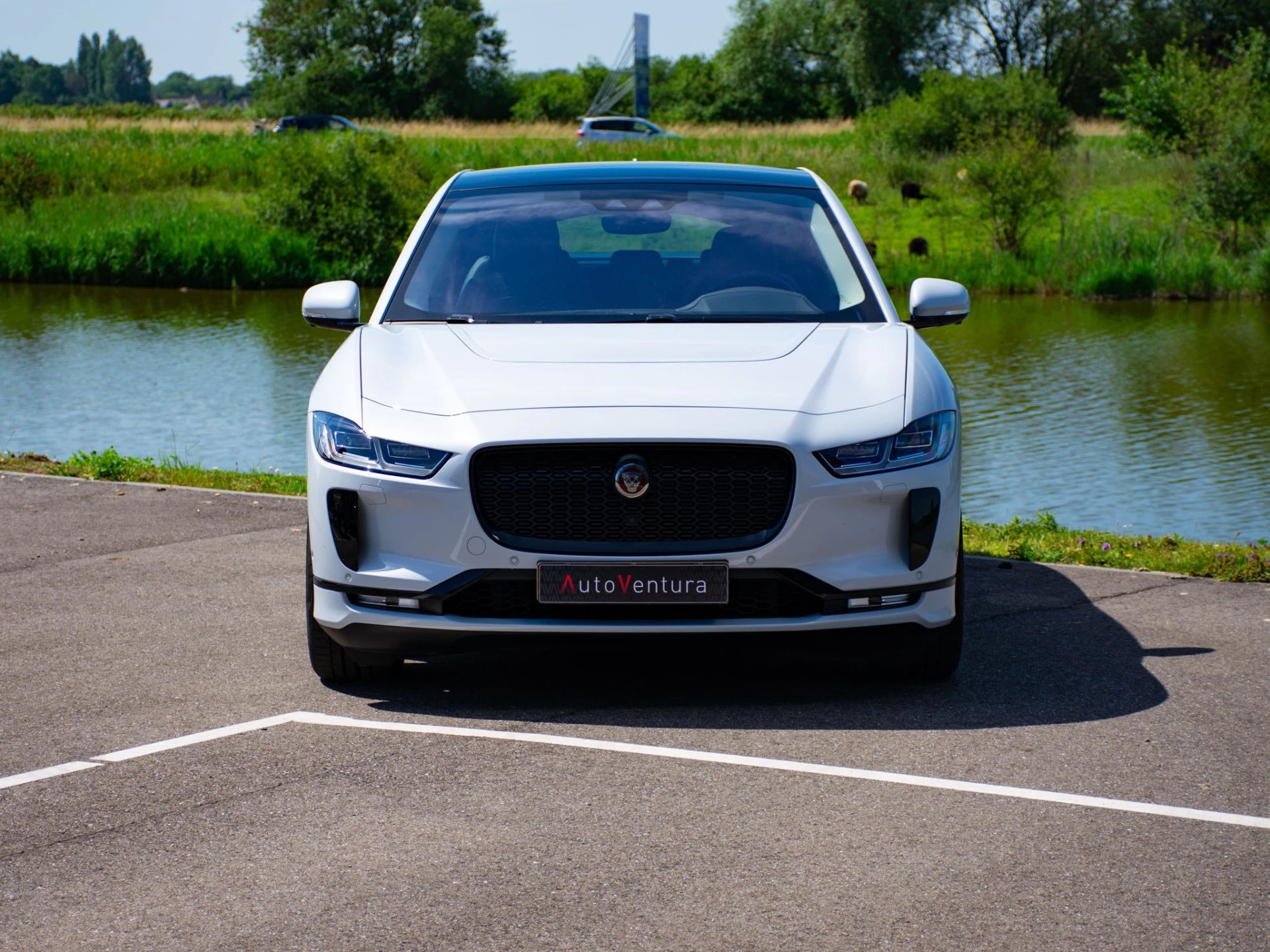 Hoofdafbeelding Jaguar I-PACE