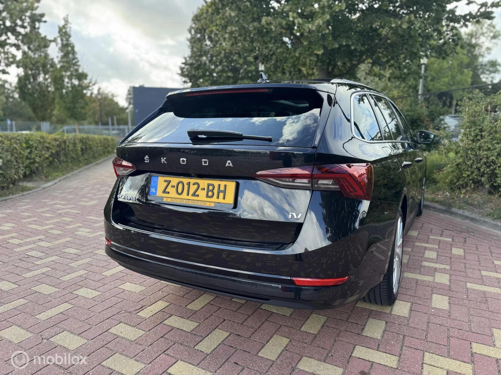 Hoofdafbeelding Škoda Octavia