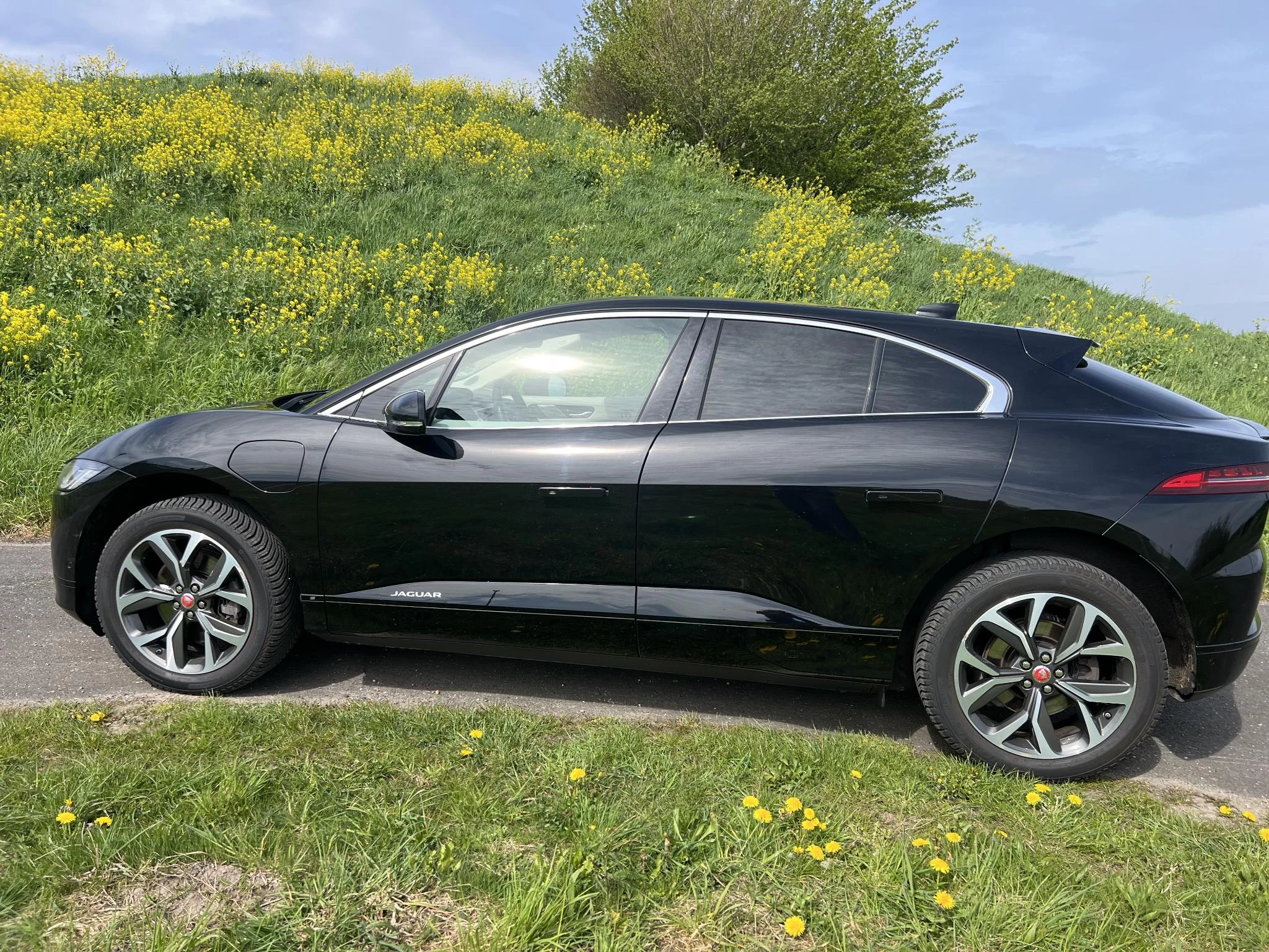 Hoofdafbeelding Jaguar I-PACE