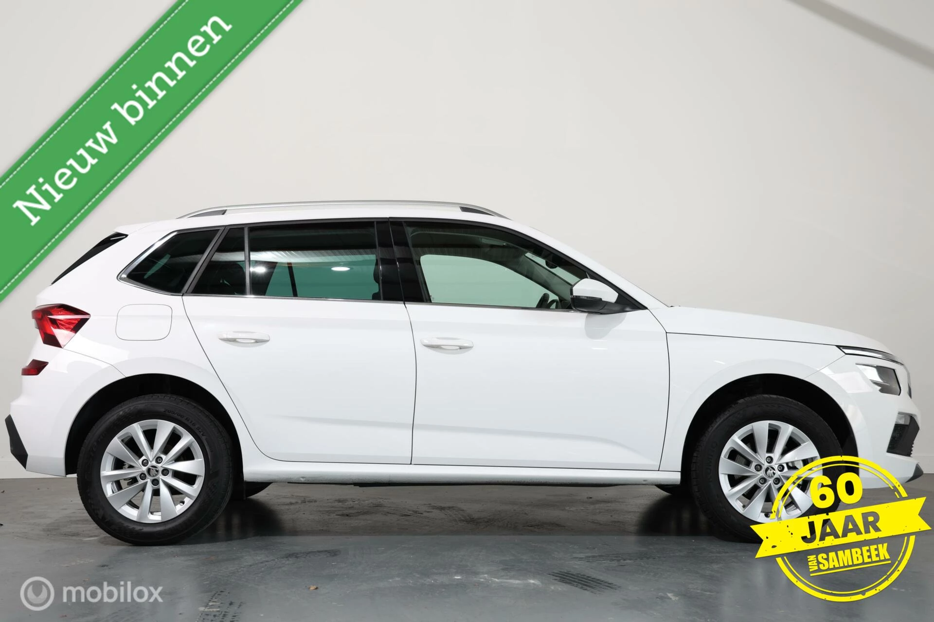 Hoofdafbeelding Škoda Kamiq