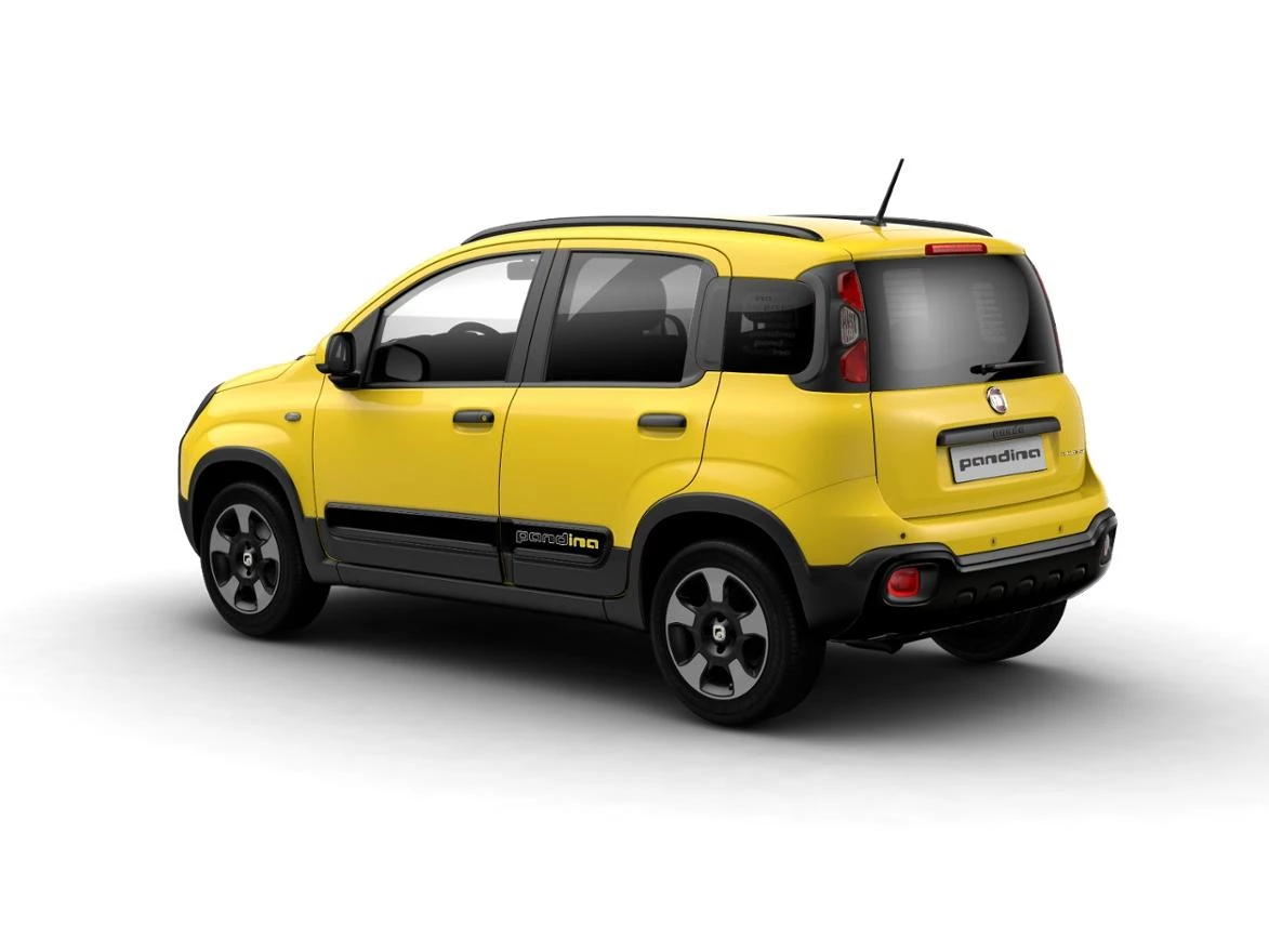 Hoofdafbeelding Fiat Pandina