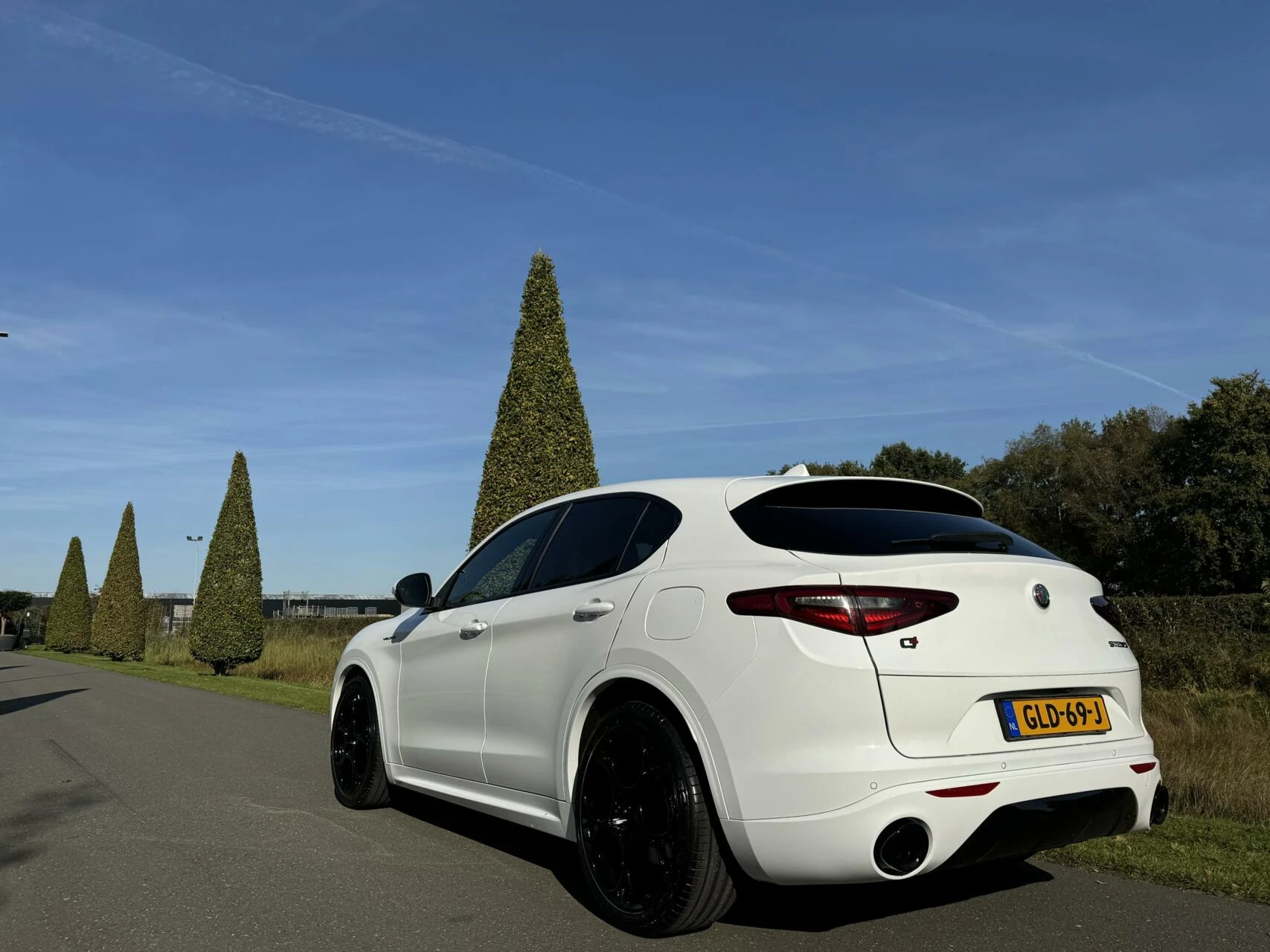 Hoofdafbeelding Alfa Romeo Stelvio