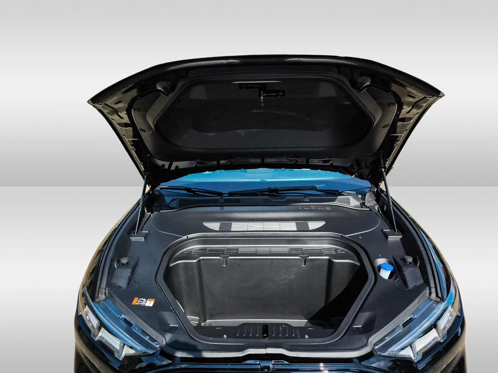 Hoofdafbeelding Ford Mustang Mach-E