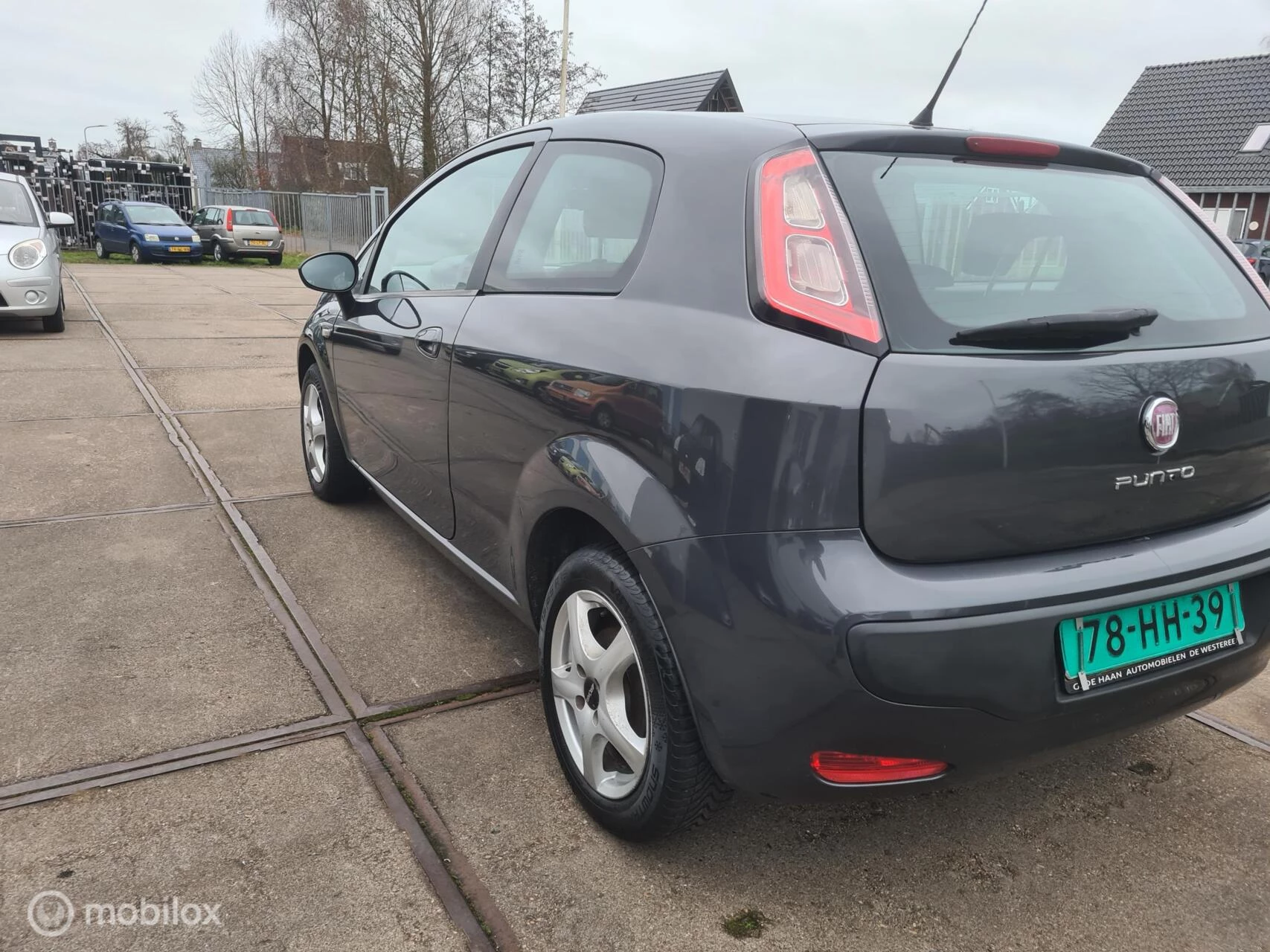 Hoofdafbeelding Fiat Punto