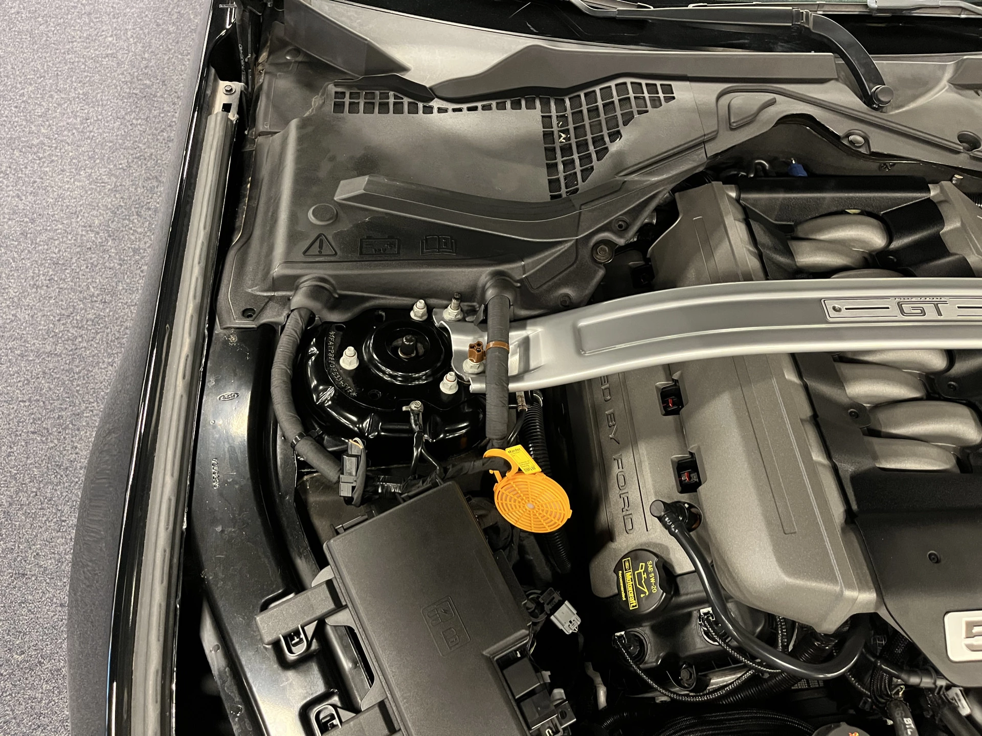 Hoofdafbeelding Ford Mustang