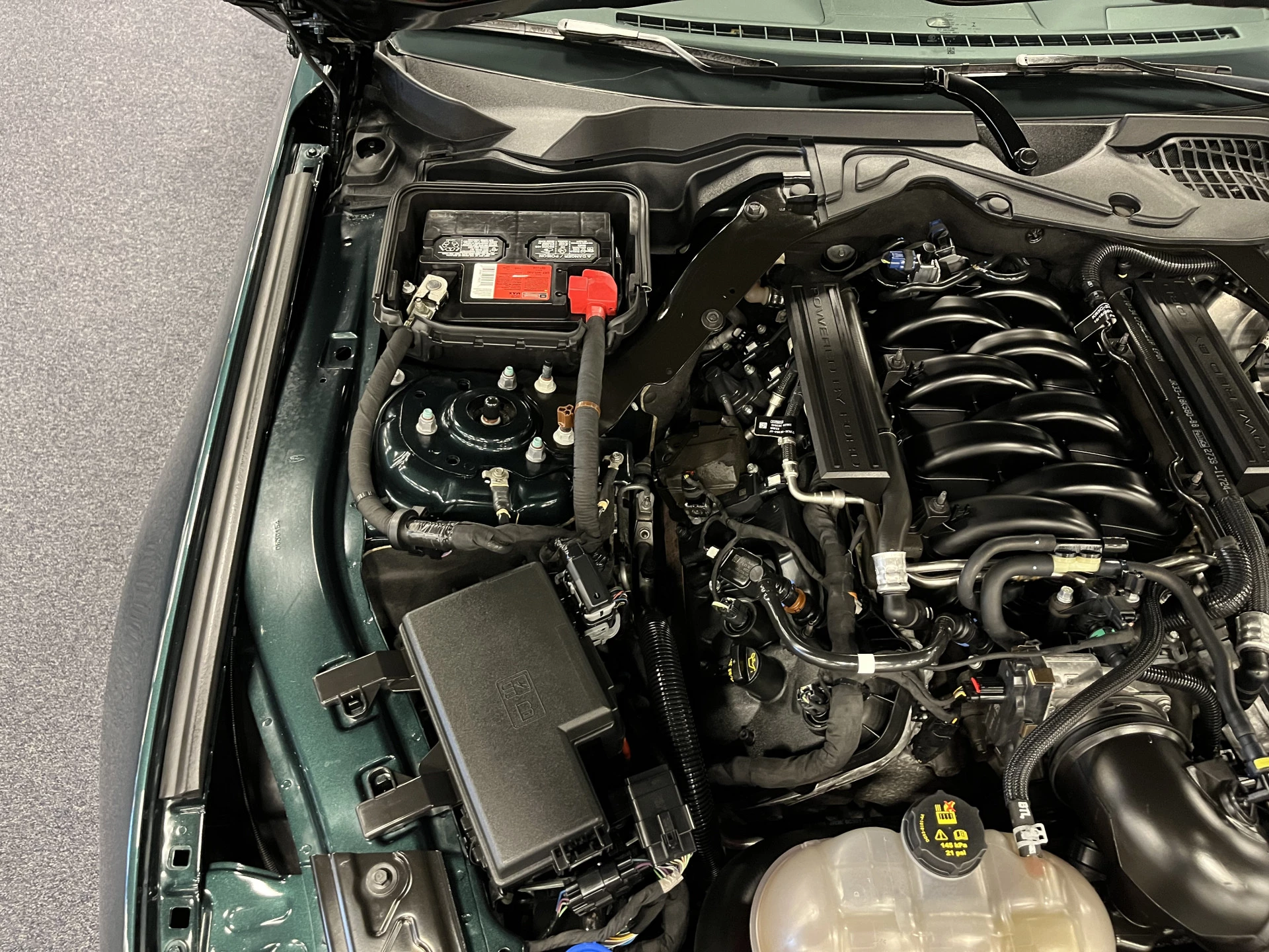Hoofdafbeelding Ford Mustang