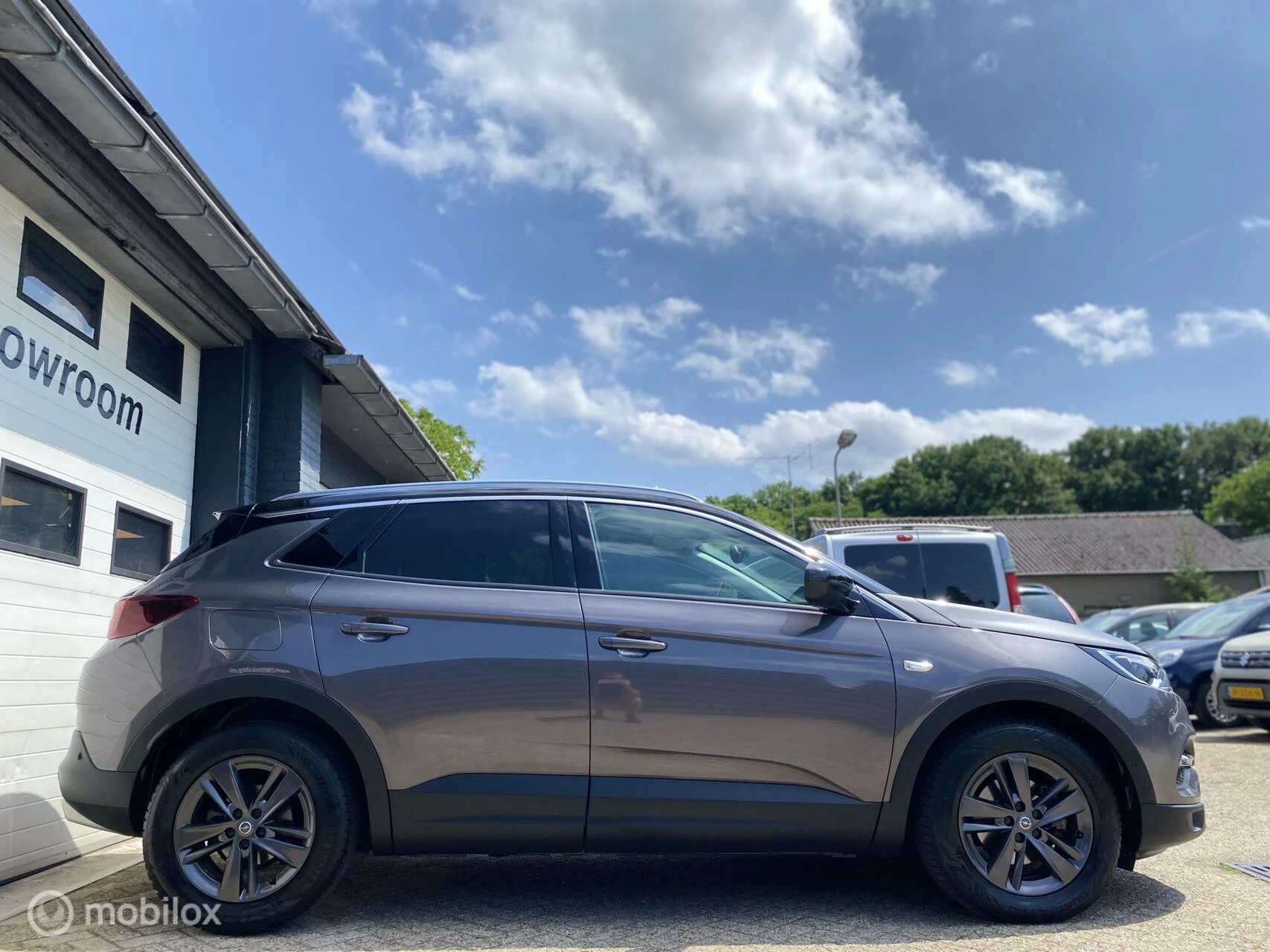 Hoofdafbeelding Opel Grandland X