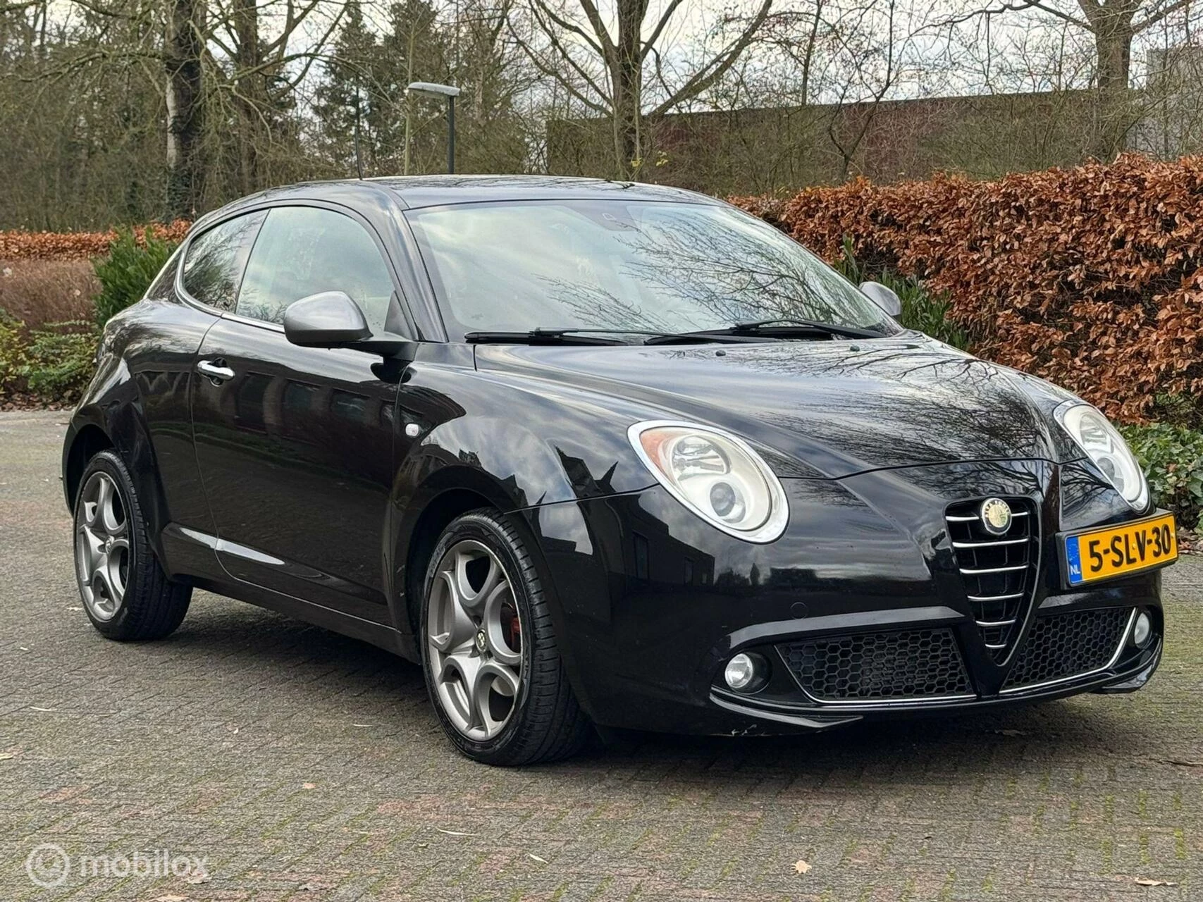 Hoofdafbeelding Alfa Romeo MiTo