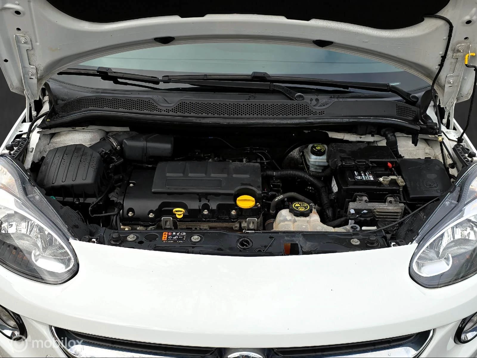 Hoofdafbeelding Opel ADAM