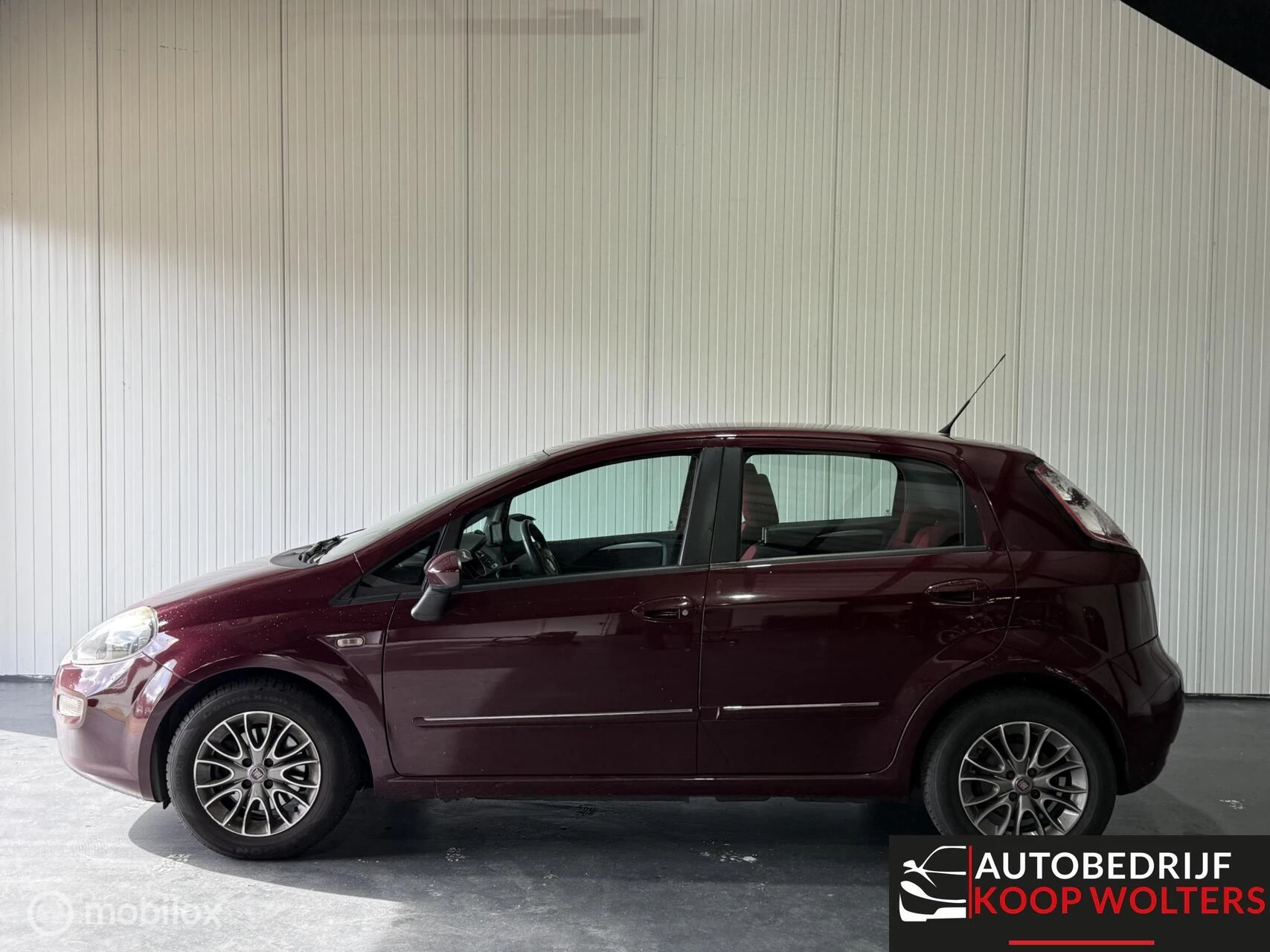 Hoofdafbeelding Fiat Punto