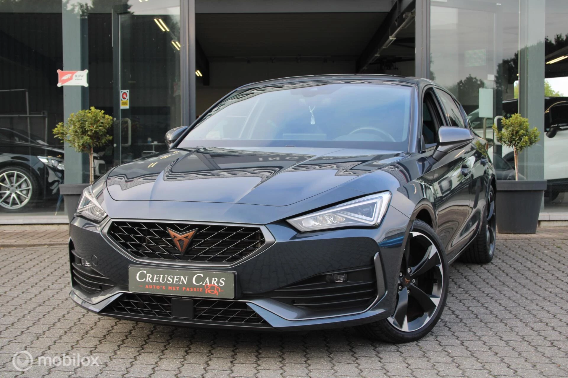 Hoofdafbeelding CUPRA Leon