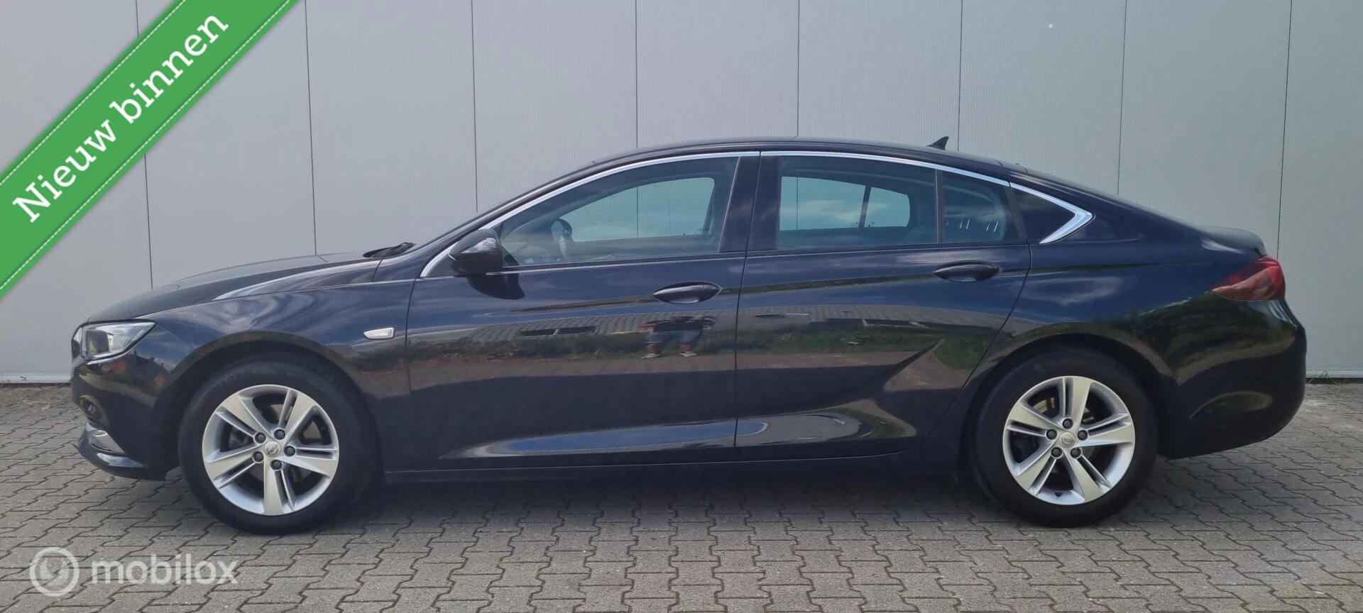 Hoofdafbeelding Opel Insignia