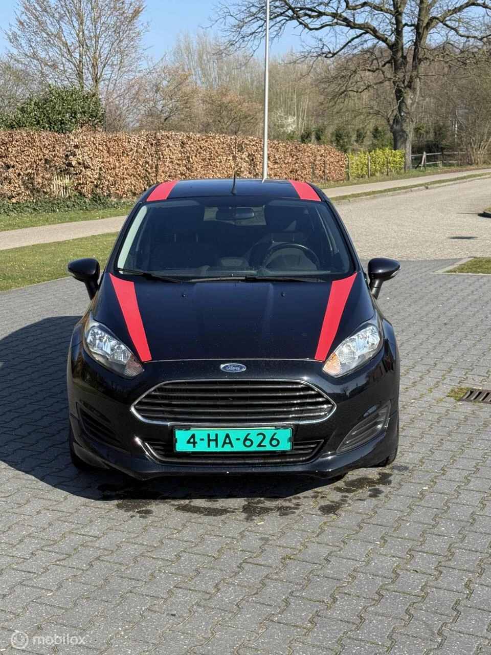 Hoofdafbeelding Ford Fiesta
