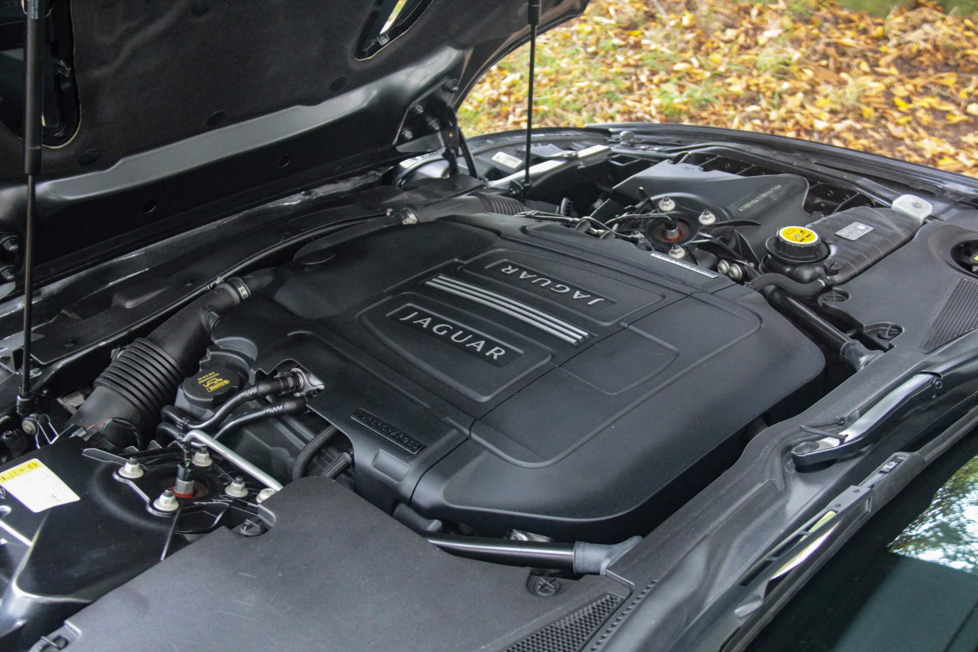 Hoofdafbeelding Jaguar XK