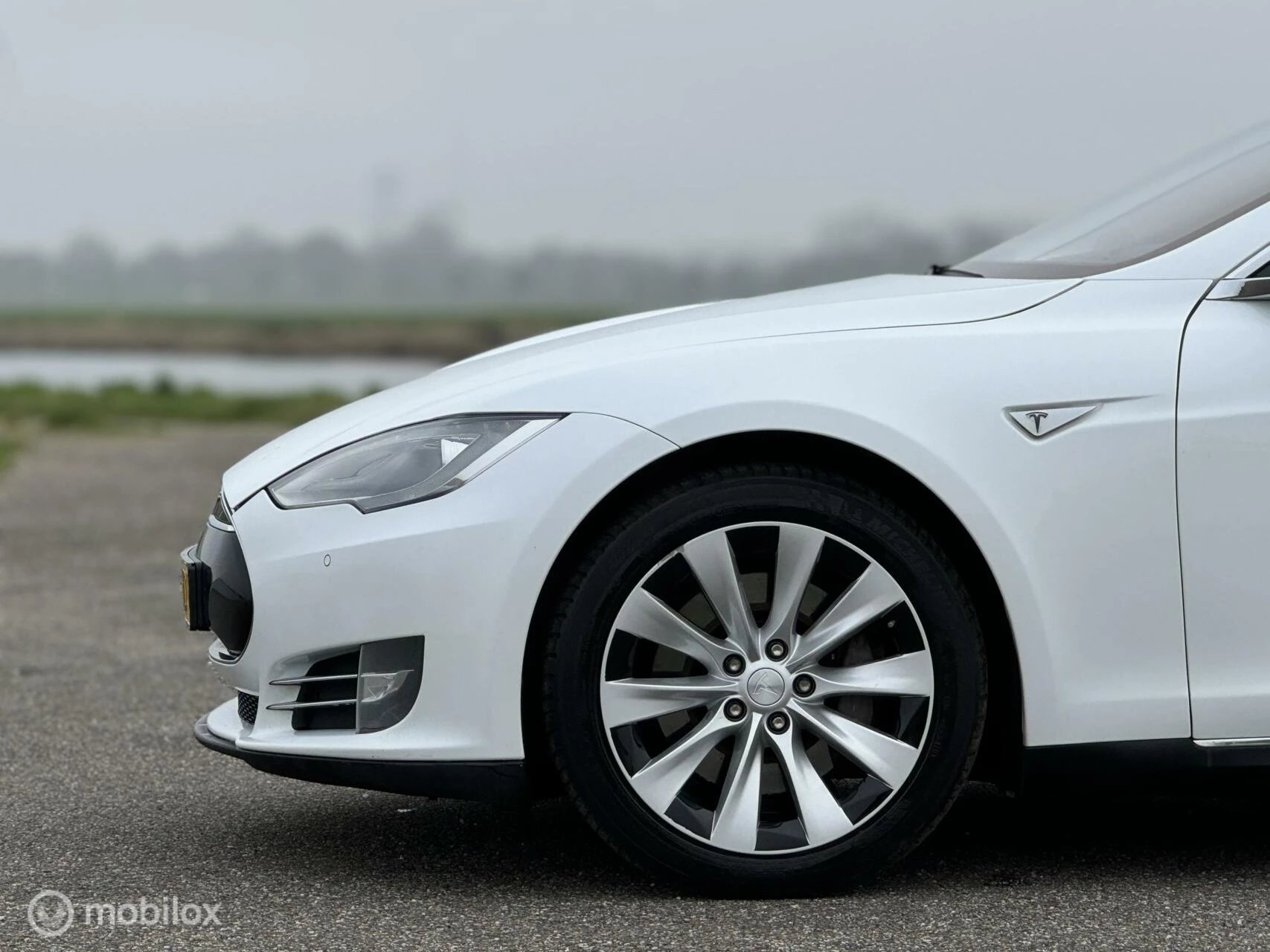 Hoofdafbeelding Tesla Model S