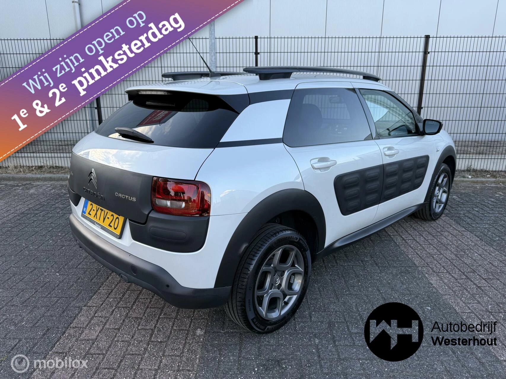 Hoofdafbeelding Citroën C4 Cactus