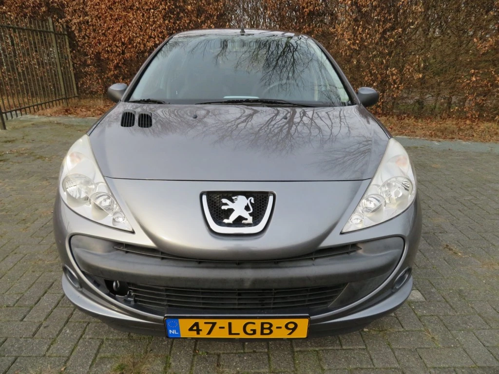Hoofdafbeelding Peugeot 206