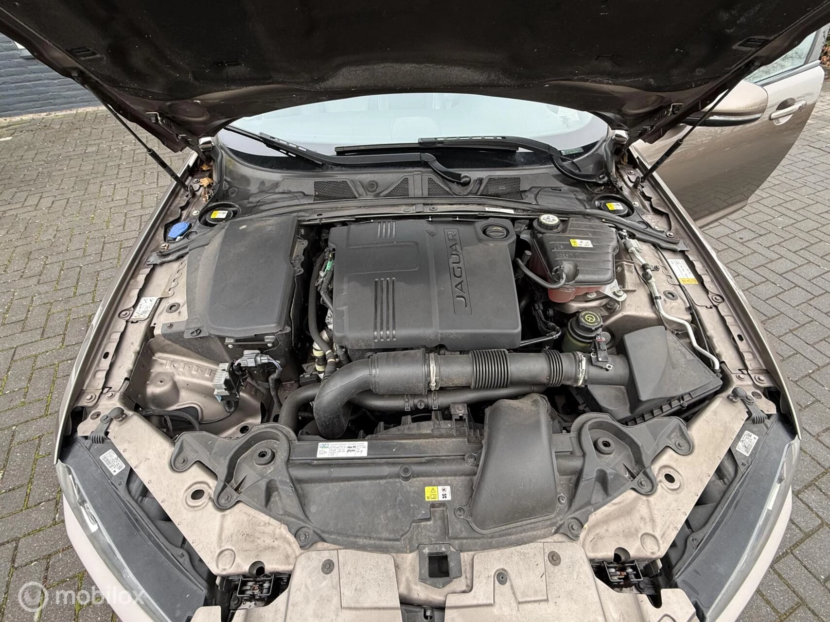 Hoofdafbeelding Jaguar XF