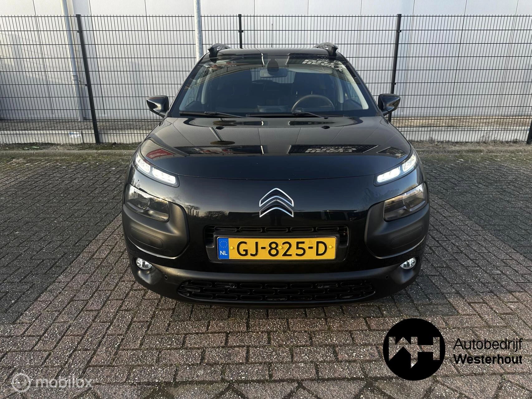 Hoofdafbeelding Citroën C4 Cactus