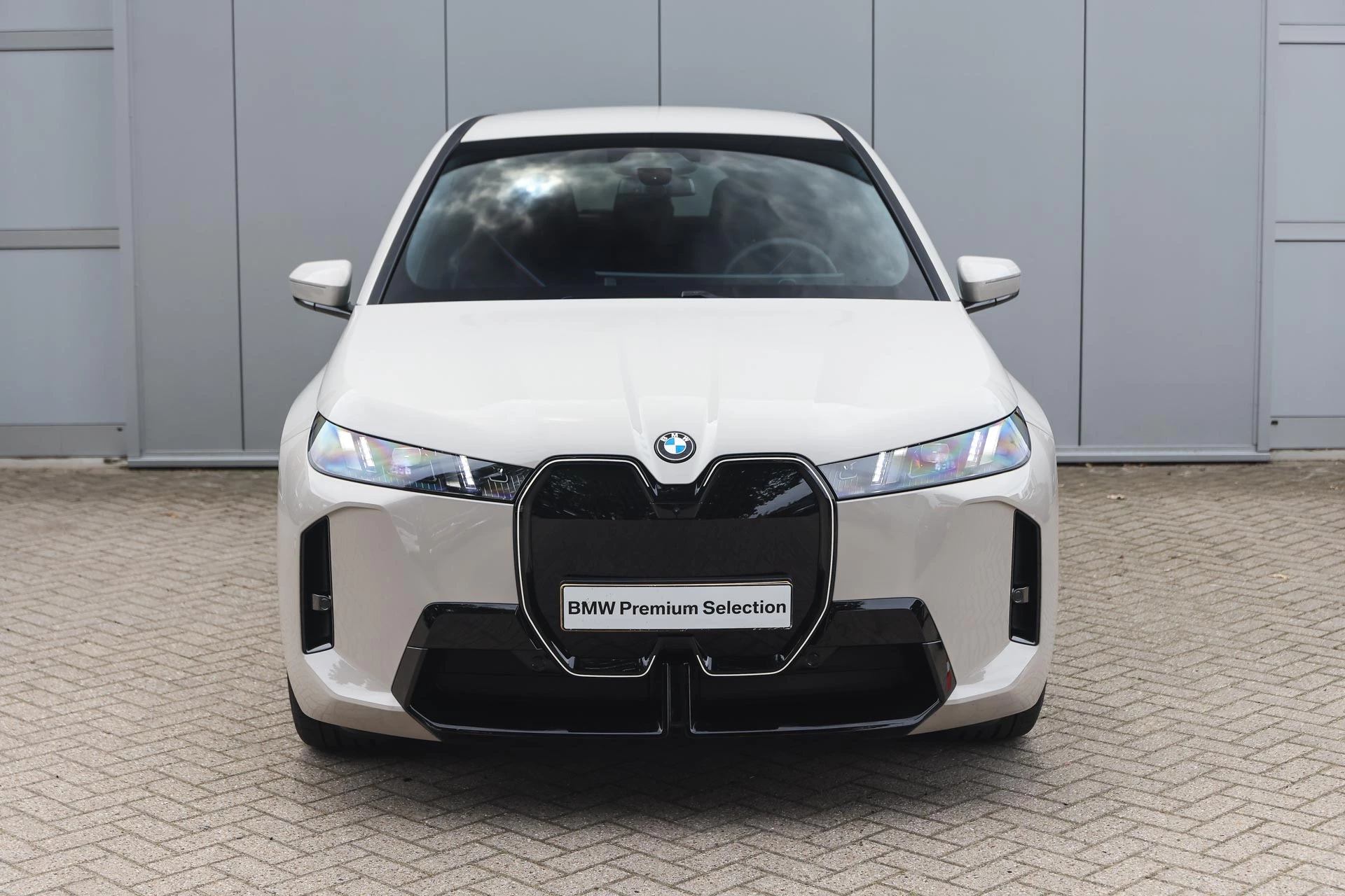 Hoofdafbeelding BMW iX