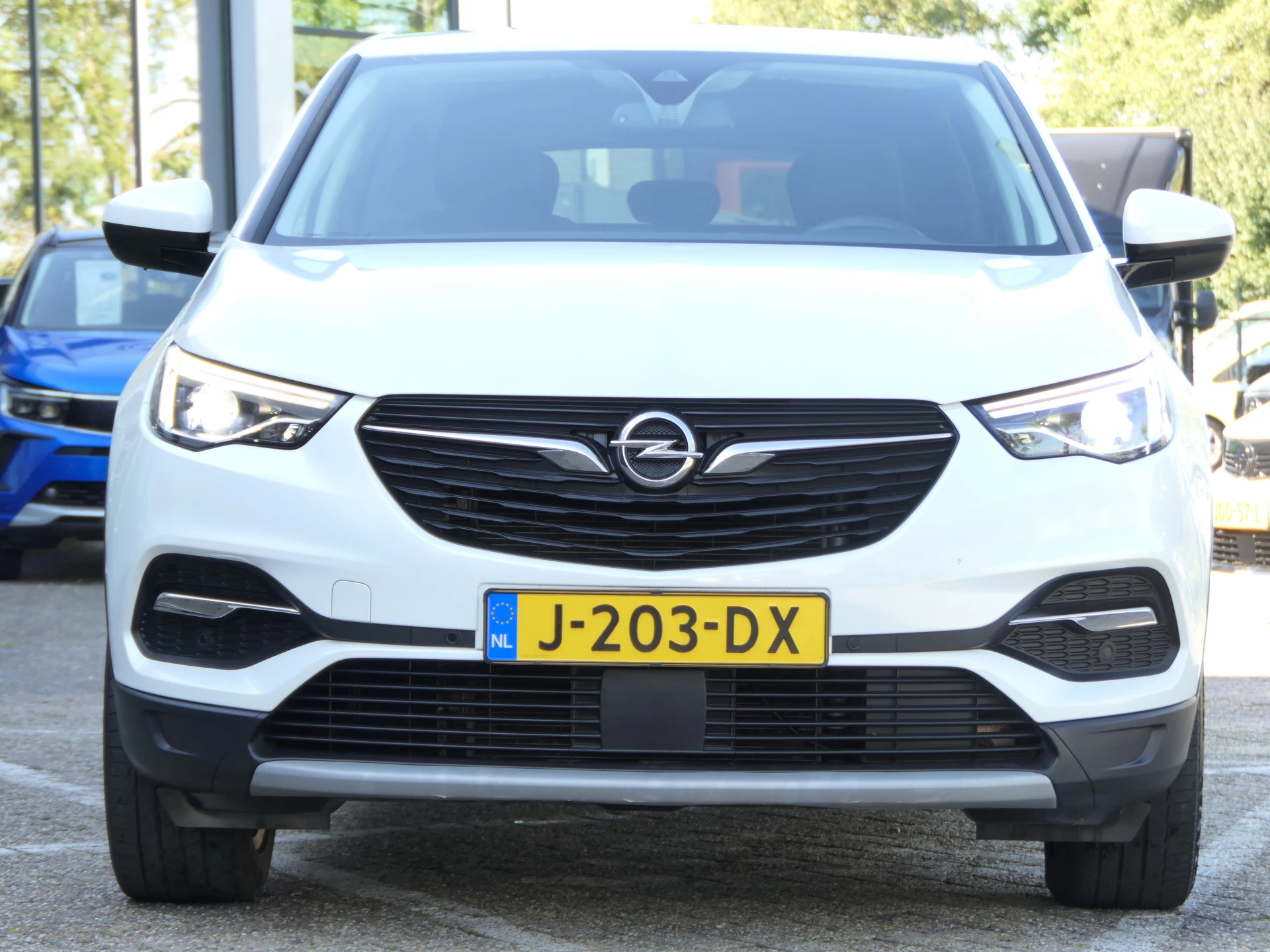 Hoofdafbeelding Opel Grandland X