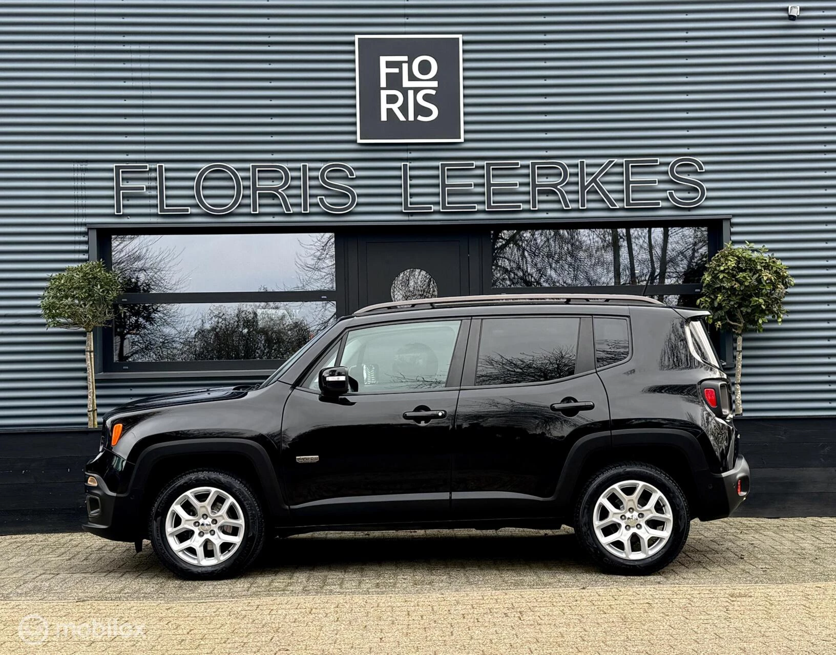 Hoofdafbeelding Jeep Renegade