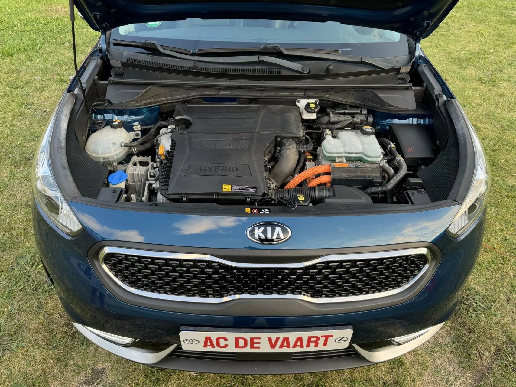 Hoofdafbeelding Kia Niro