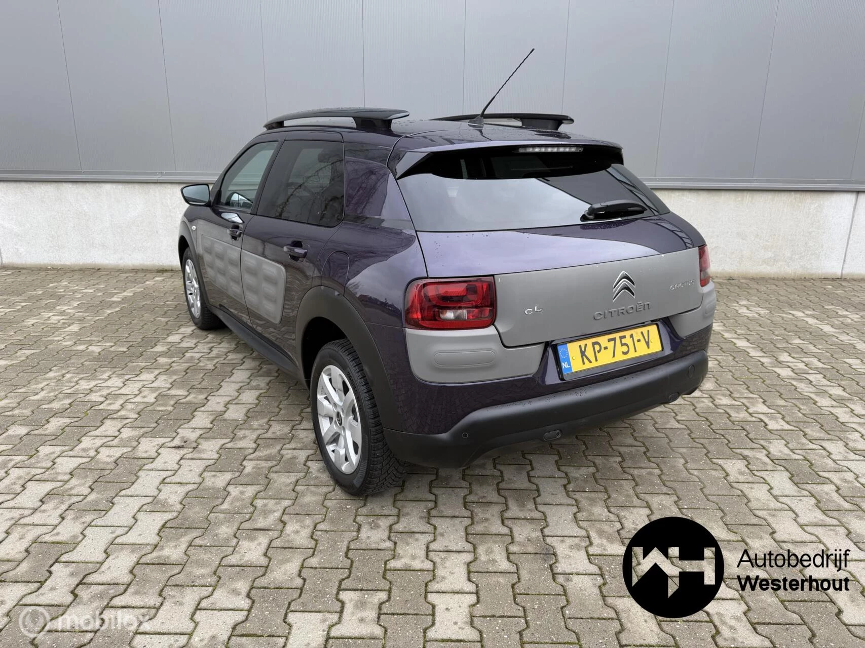 Hoofdafbeelding Citroën C4 Cactus