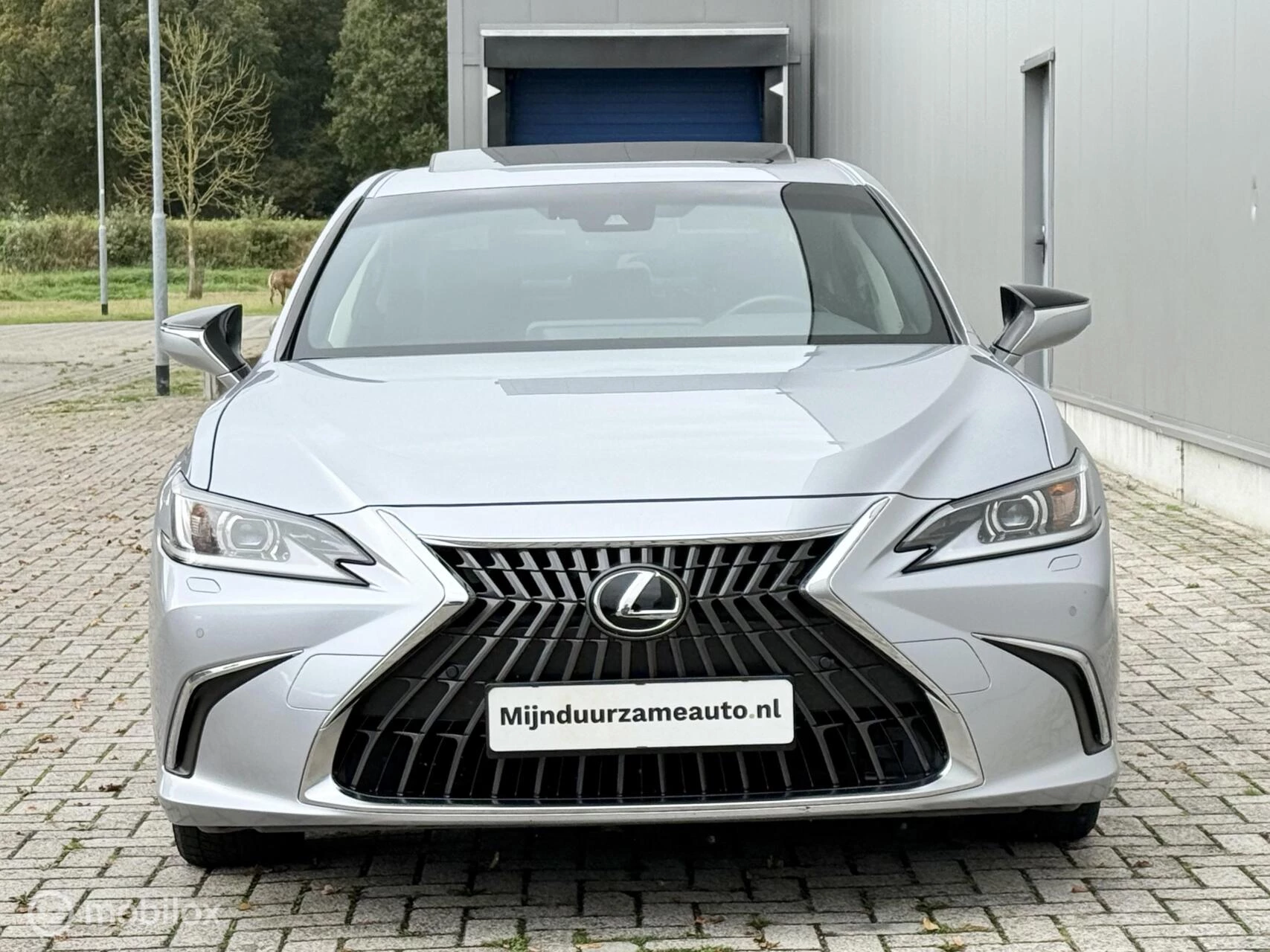 Hoofdafbeelding Lexus ES