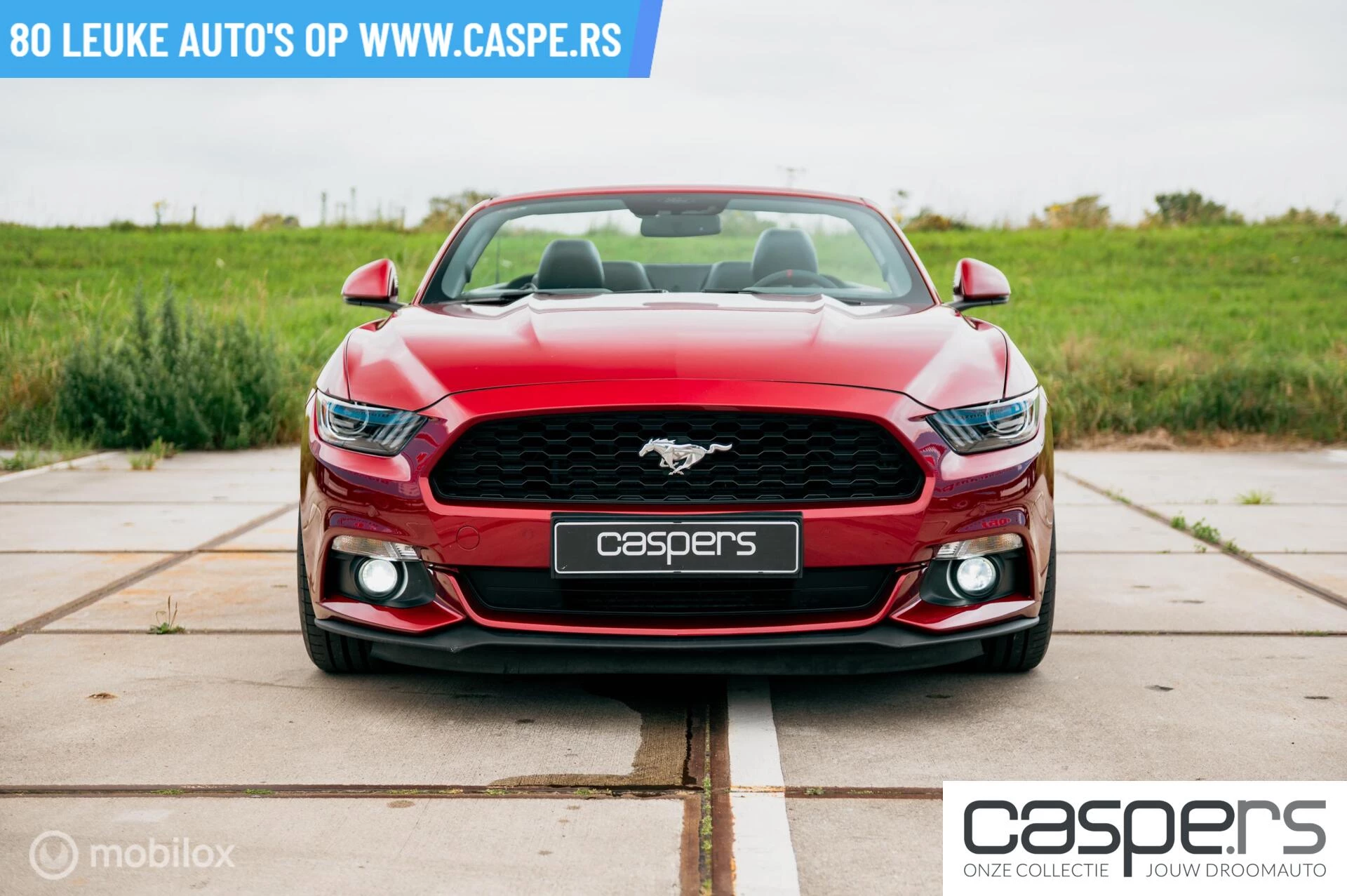 Hoofdafbeelding Ford Mustang