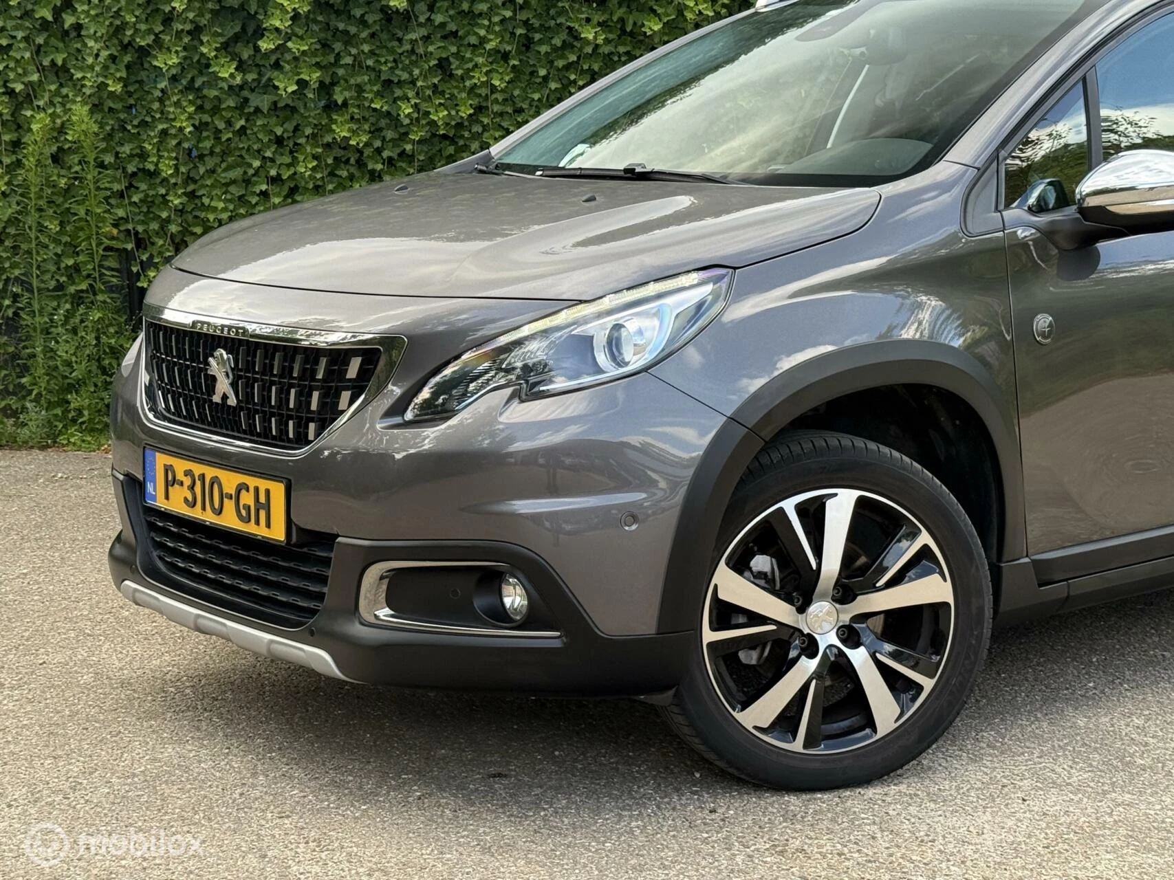 Hoofdafbeelding Peugeot 2008