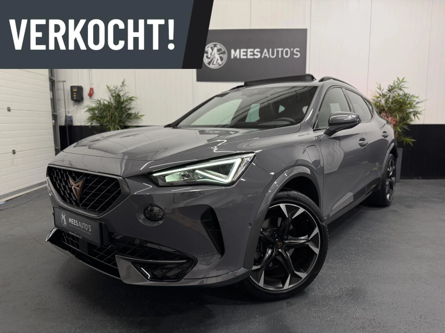 Hoofdafbeelding CUPRA Formentor