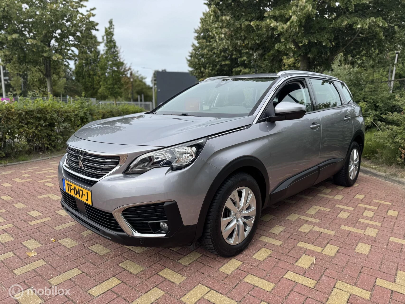 Hoofdafbeelding Peugeot 5008