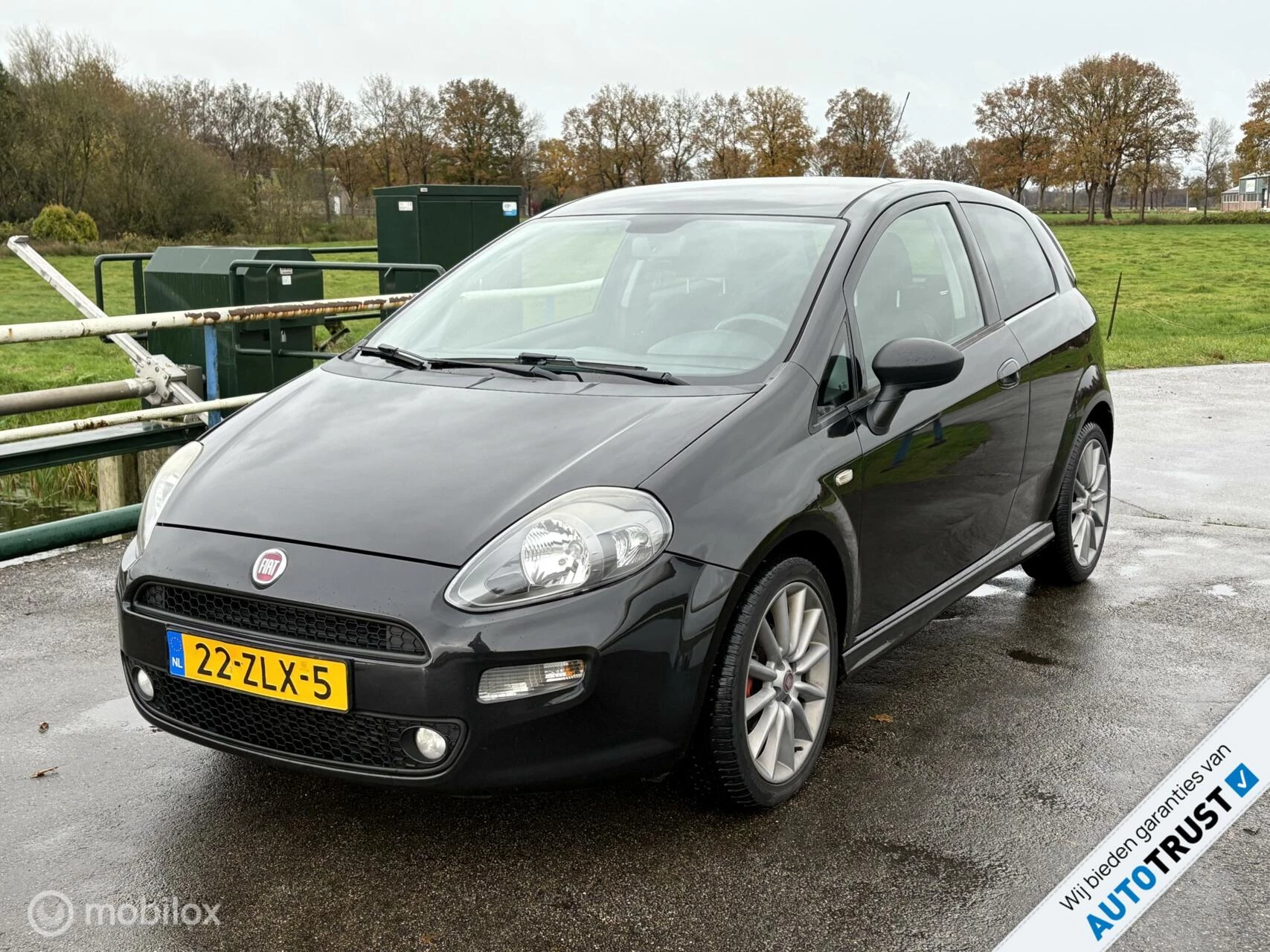 Hoofdafbeelding Fiat Punto